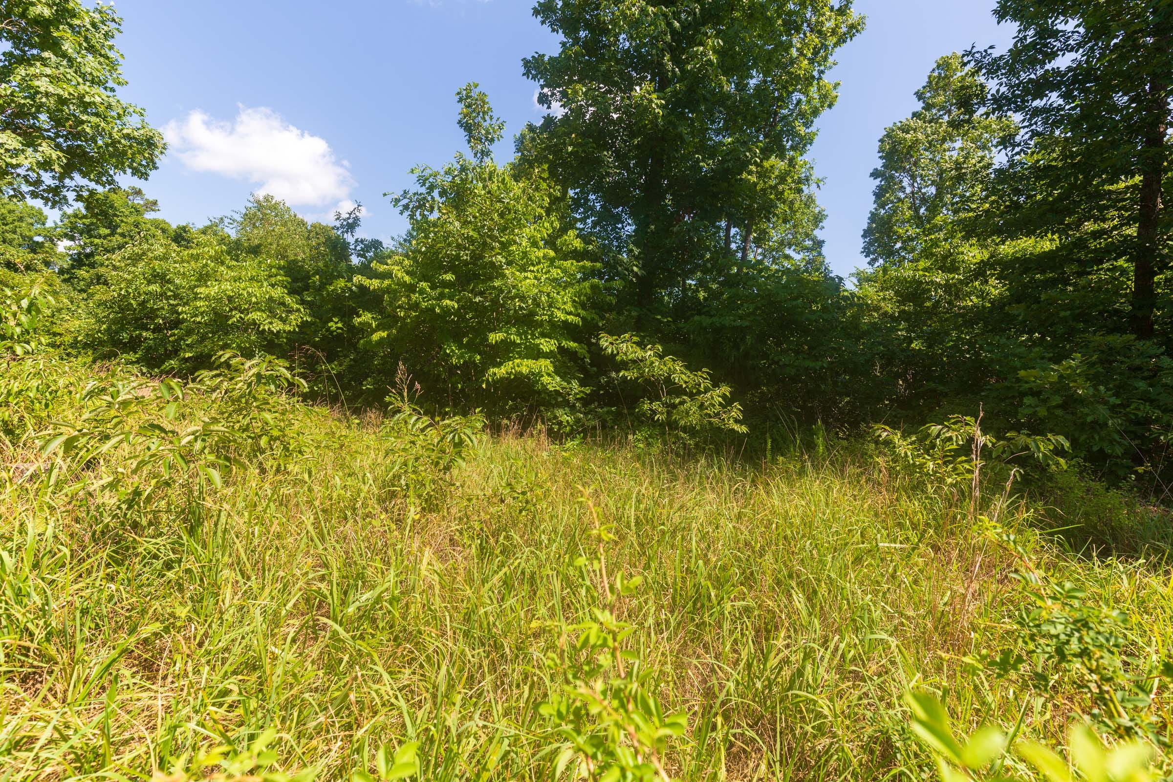 Cypress Ridge Tract 33 photo 10