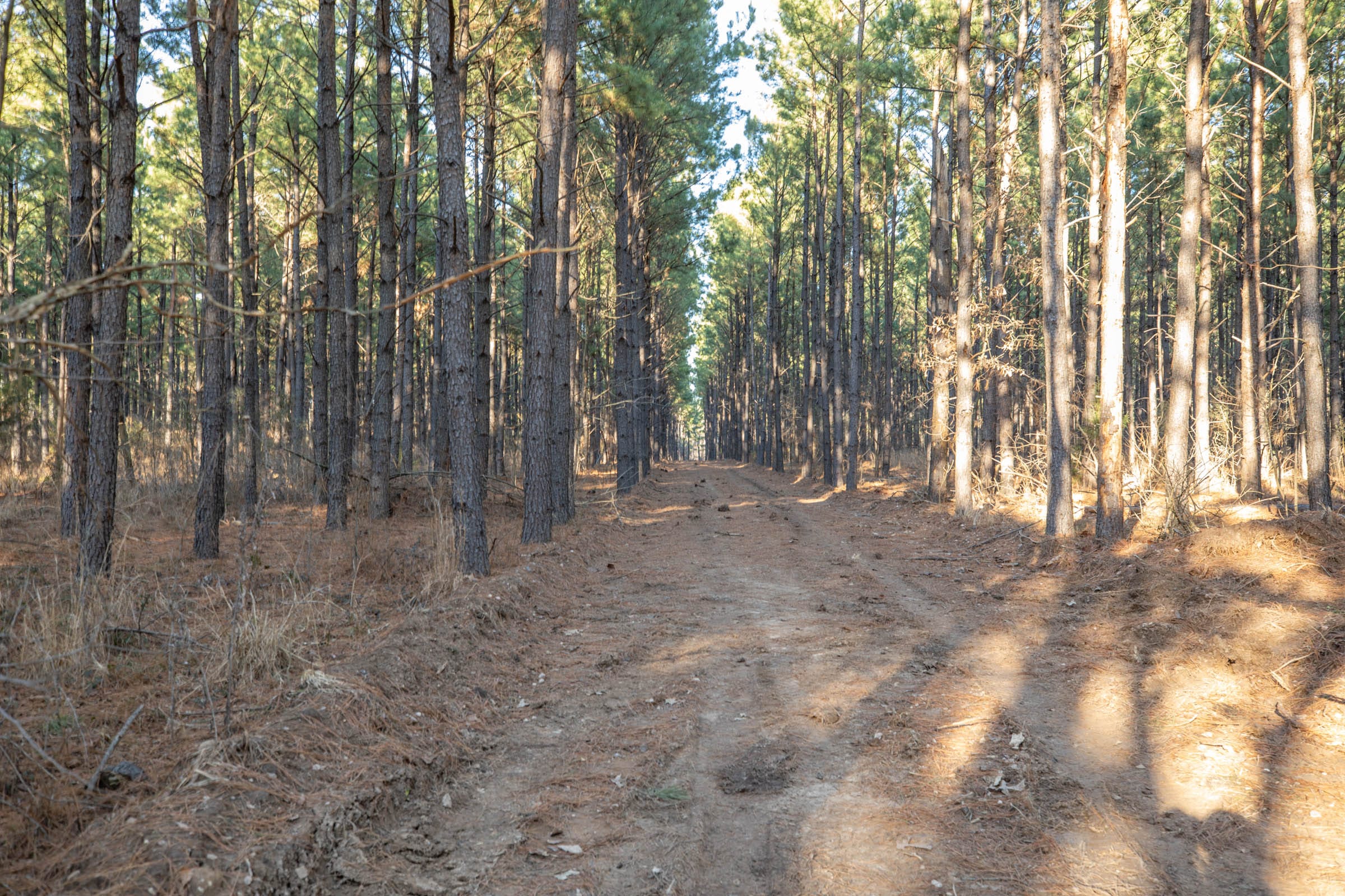 Wishing Star Ranch Tract 56 photo 1