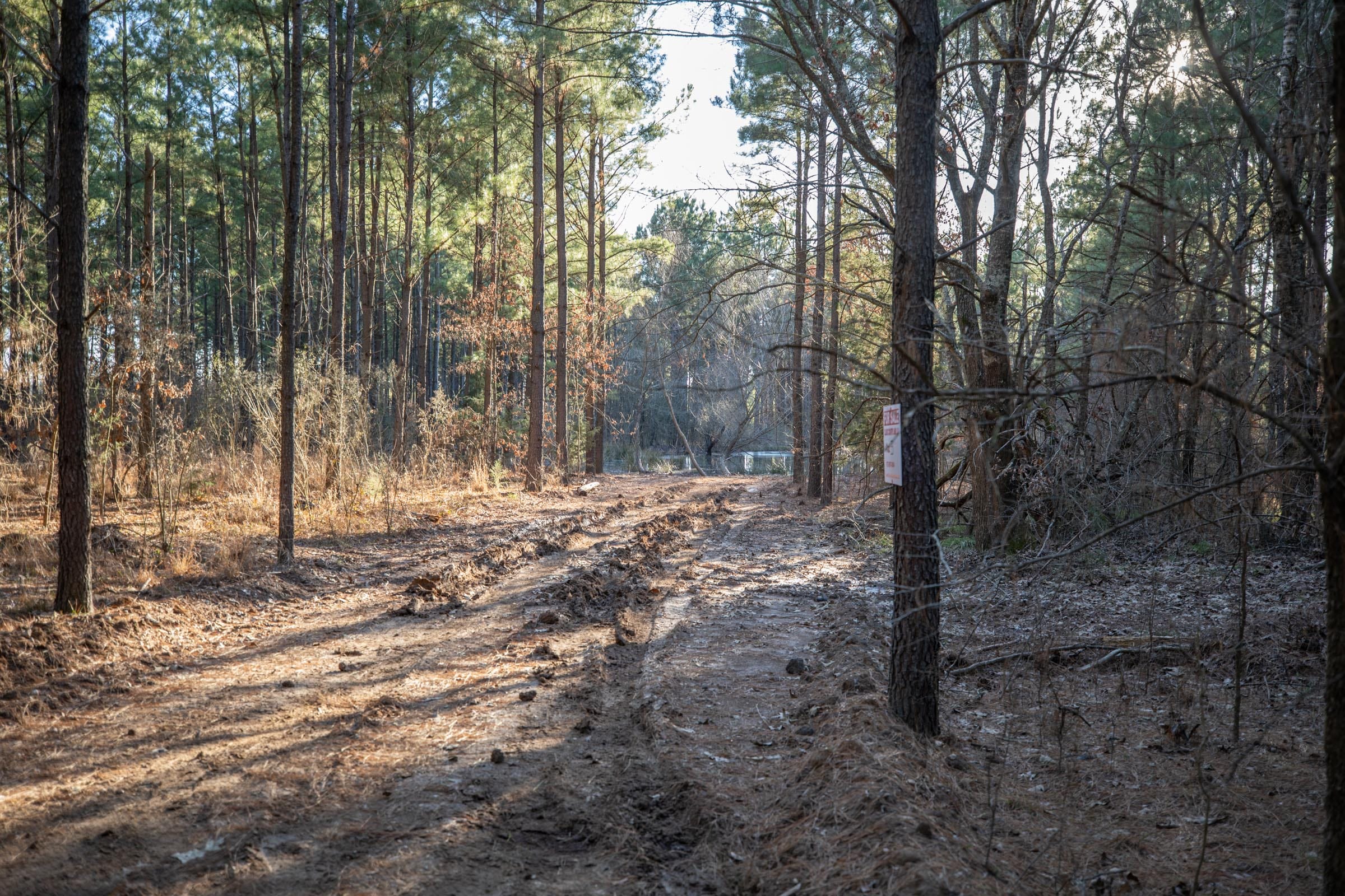 Wishing Star Ranch Tract 56 photo 3
