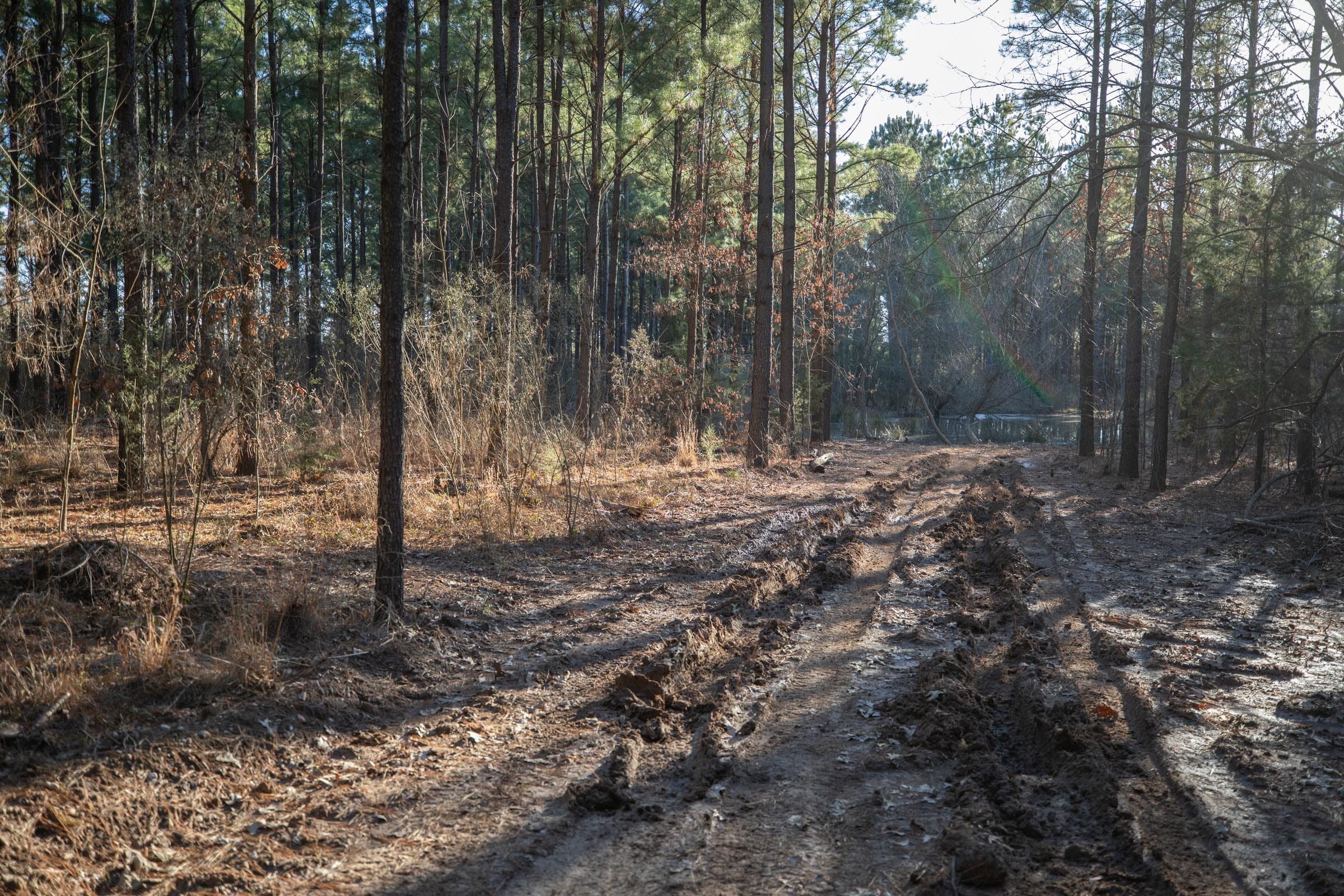 Wishing Star Ranch Tract 56 photo 5