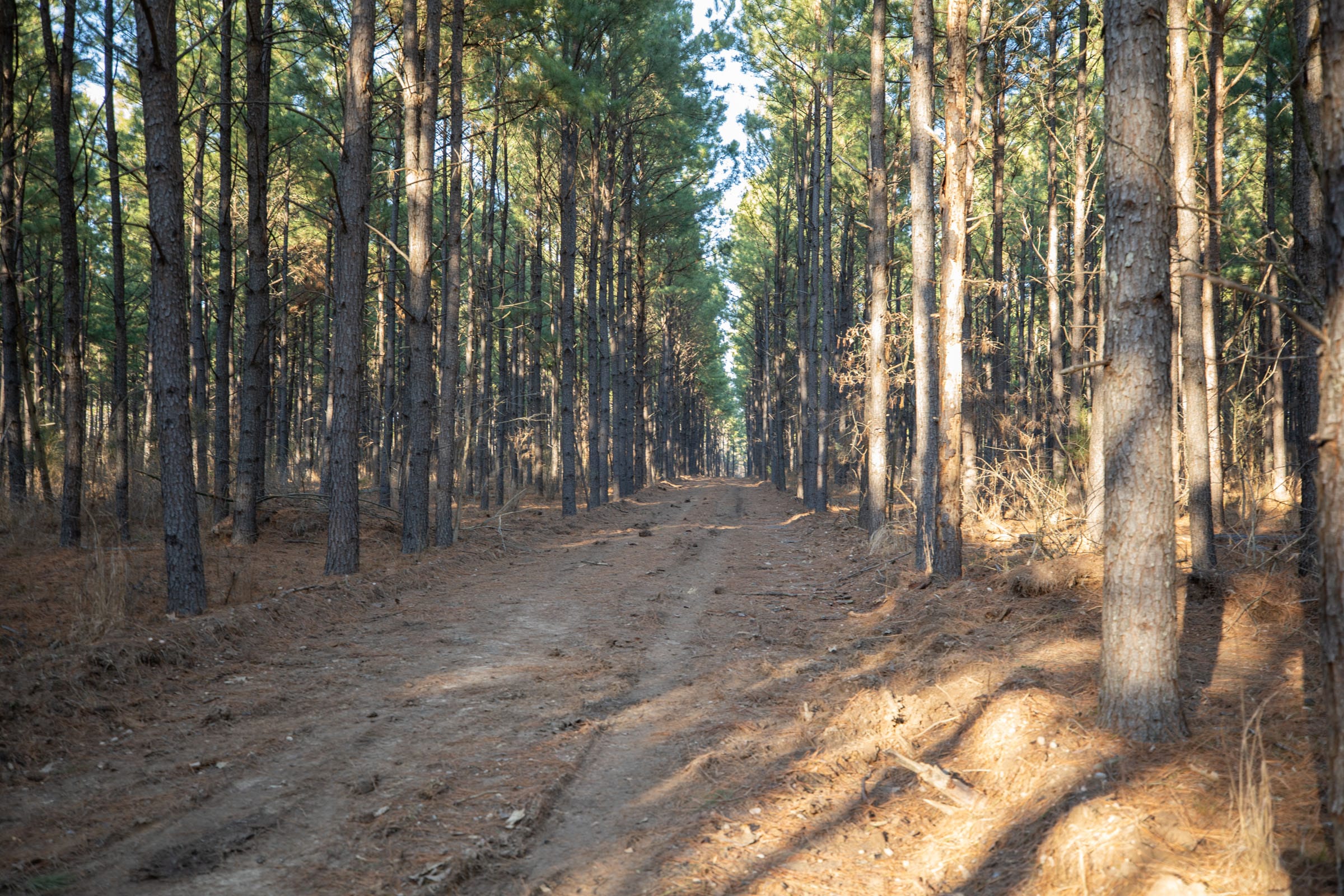 Wishing Star Ranch Tract 56 photo 6
