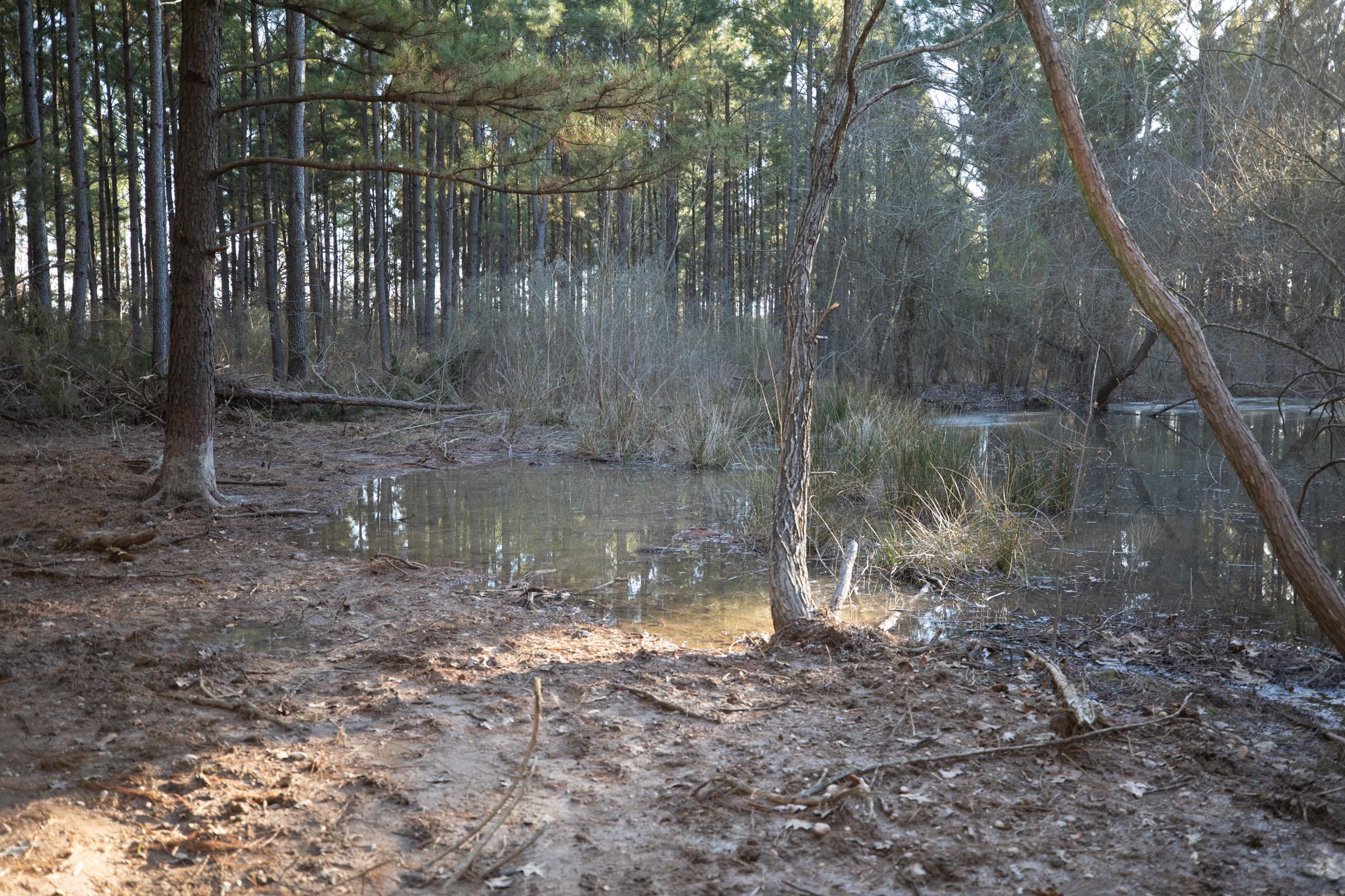 Wishing Star Ranch Tract 56 photo 10