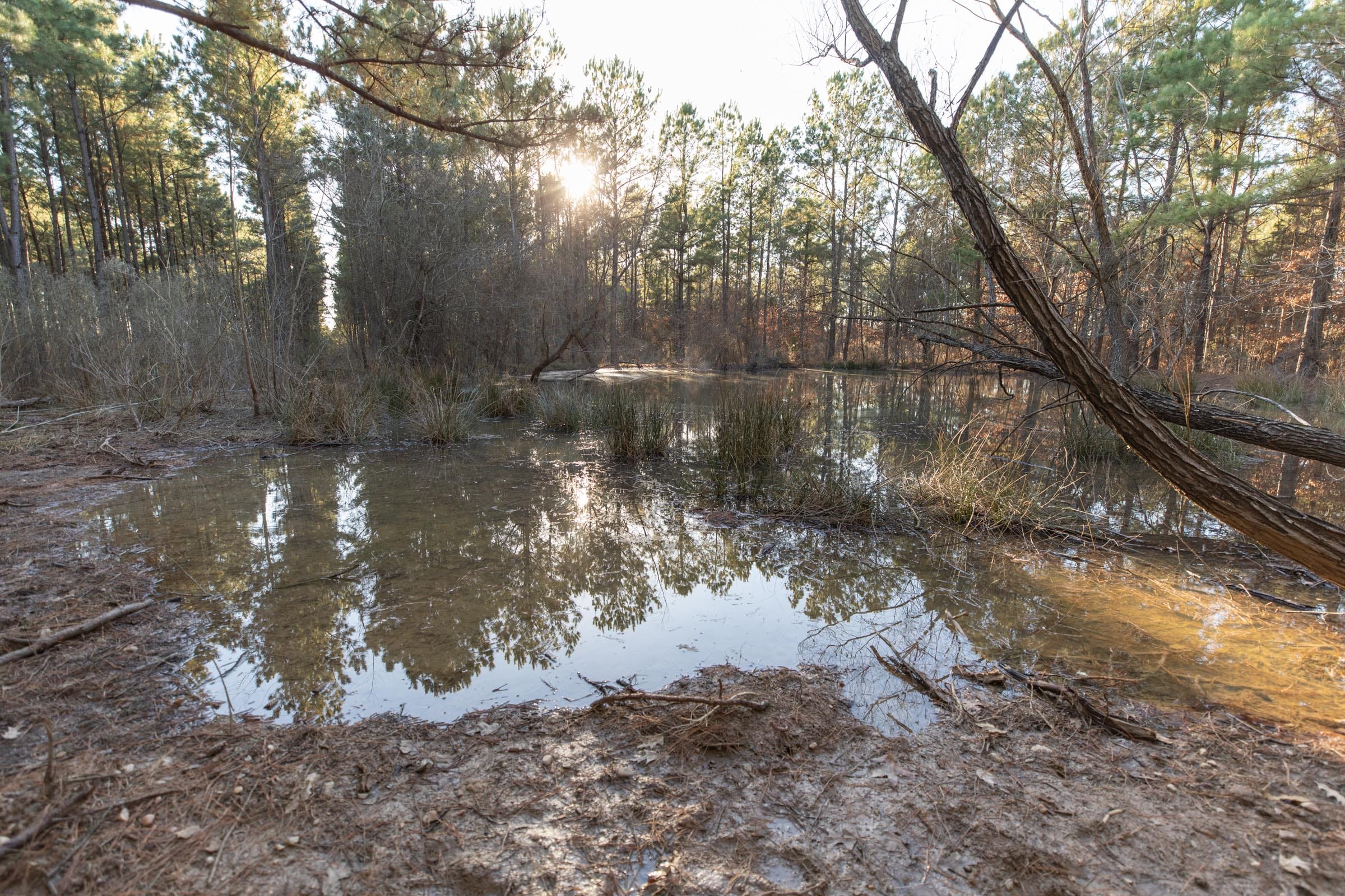 Wishing Star Ranch Tract 56 photo 12
