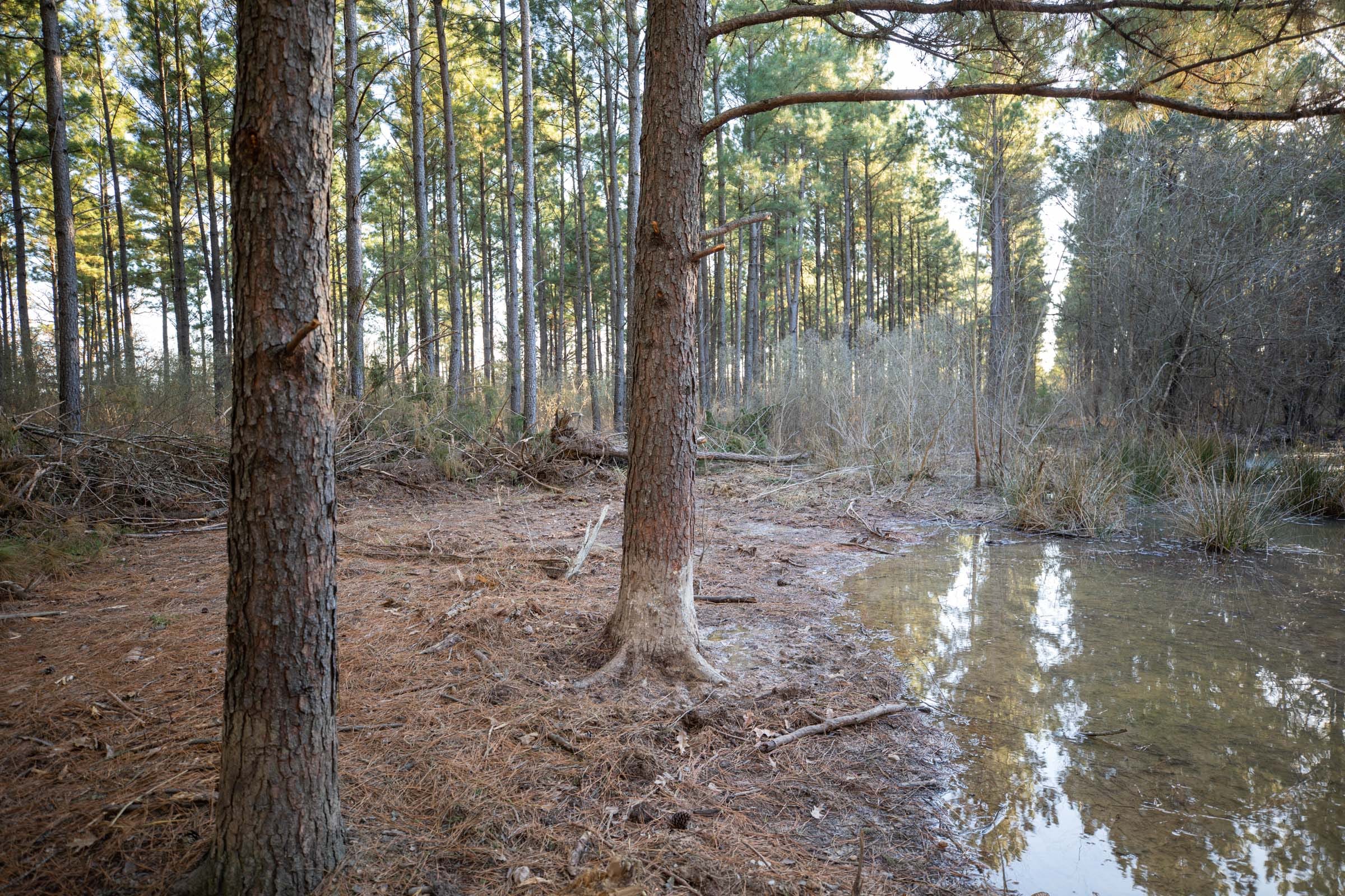 Wishing Star Ranch Tract 56 photo 13