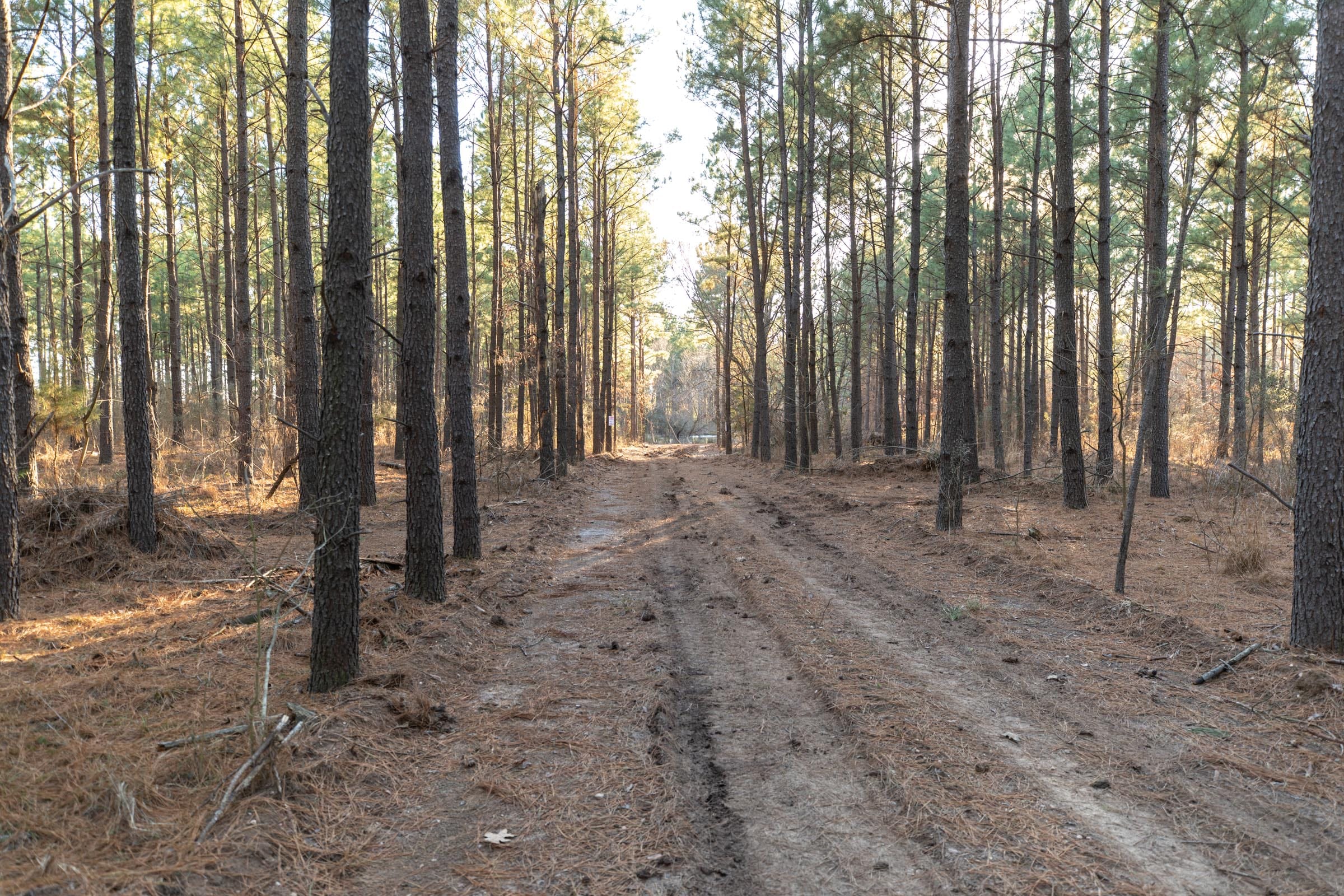 Wishing Star Ranch Tract 56 photo 14