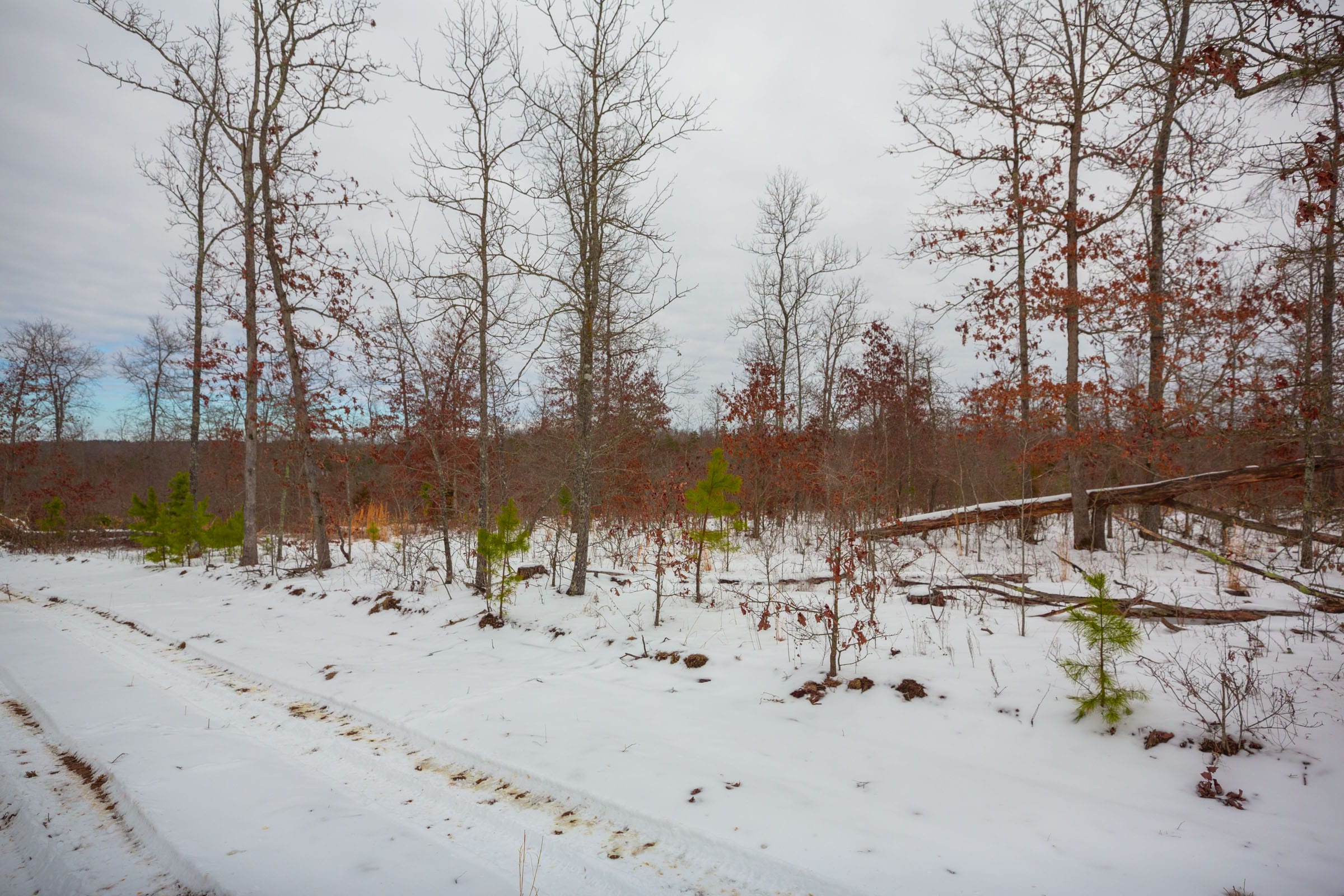 Sleepy Hollow Phase I Tract 22 photo 10