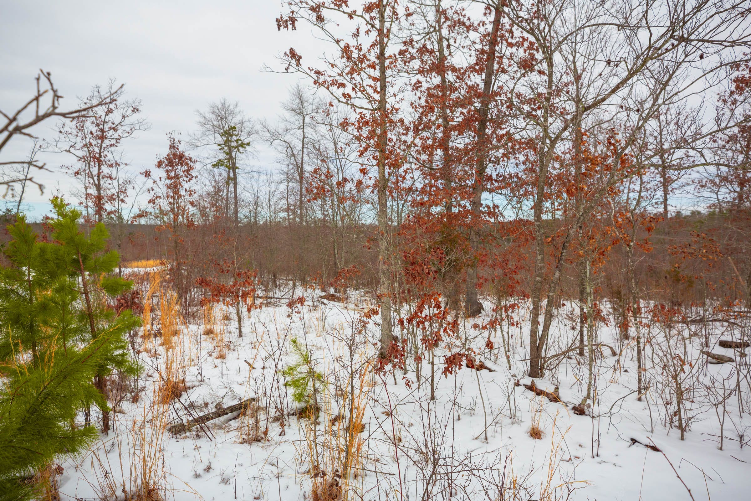 Sleepy Hollow Phase I Tract 22 photo 9