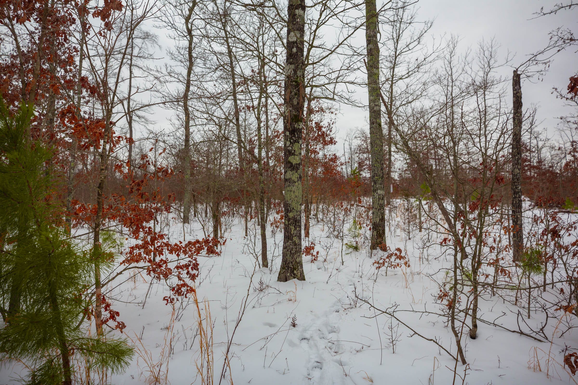 Sleepy Hollow Phase I Tract 22 photo 7