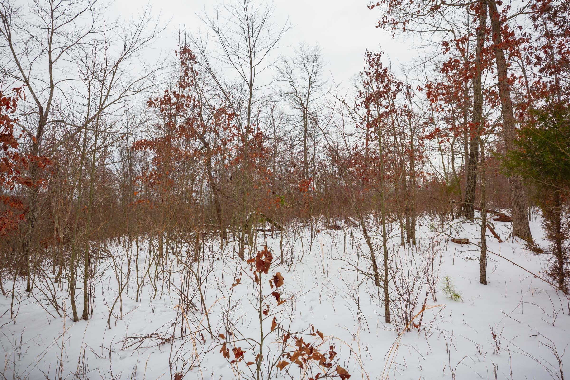 Sleepy Hollow Phase I Tract 22 photo 5