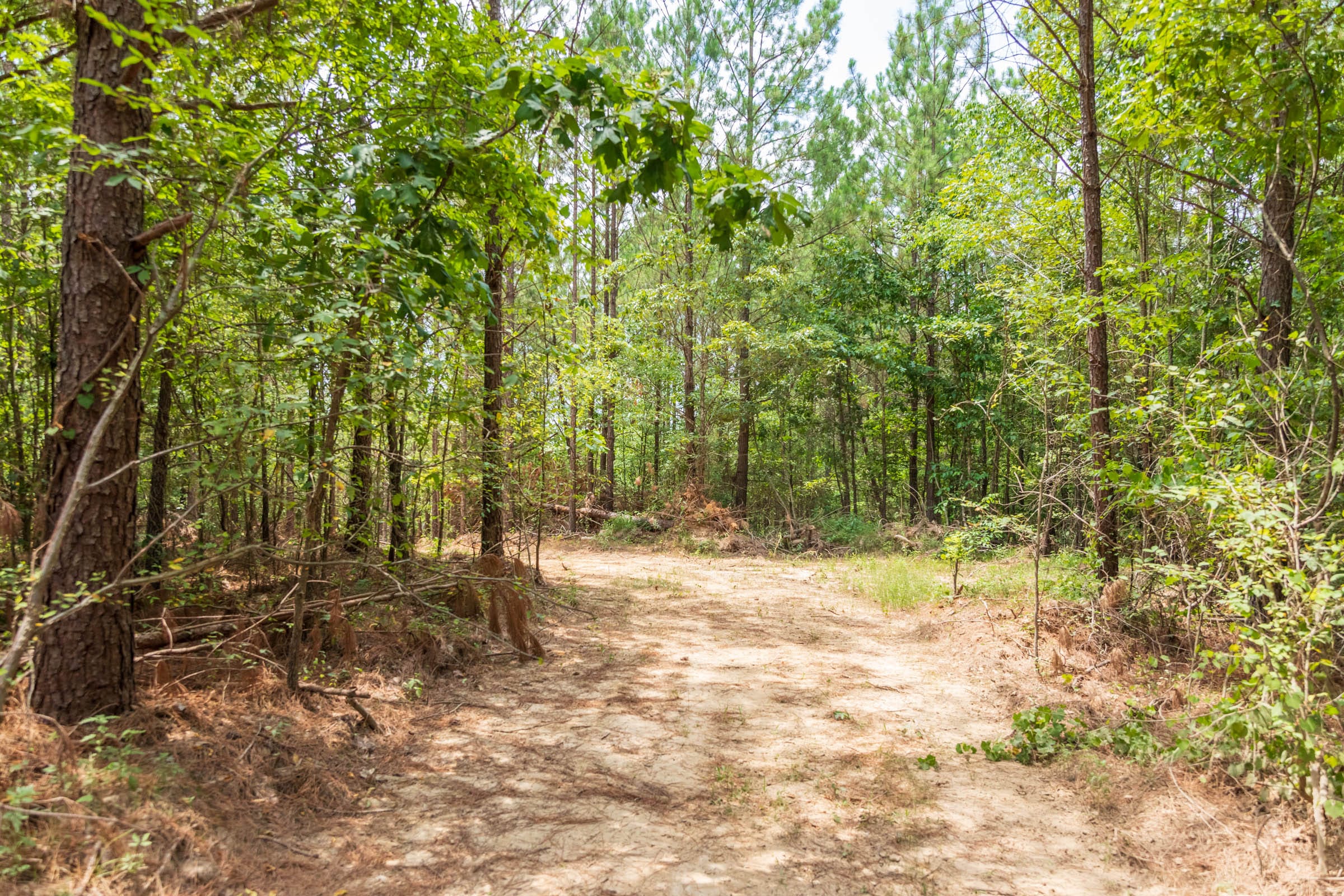 Whiskey Ridge Tract 50 photo 4