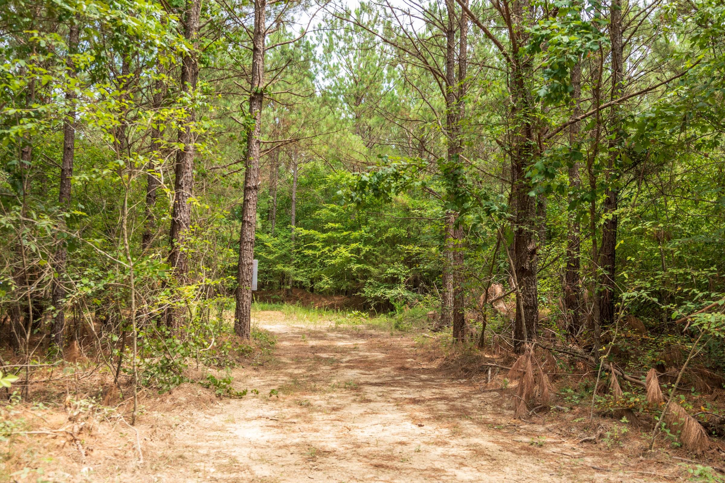 Whiskey Ridge Tract 50 photo 5