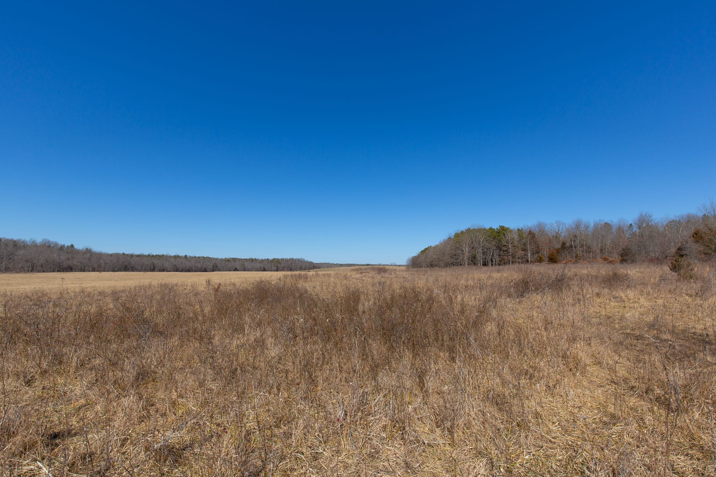O’Connor Crossing Tract 16 photo 2