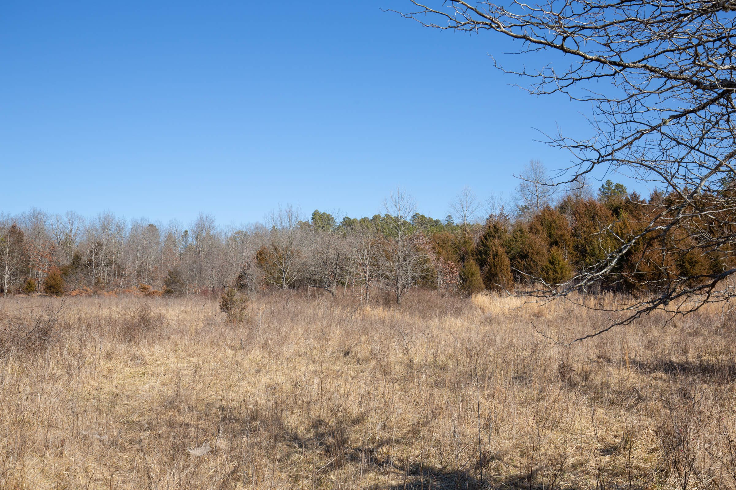 O’Connor Crossing Tract 16 photo 3
