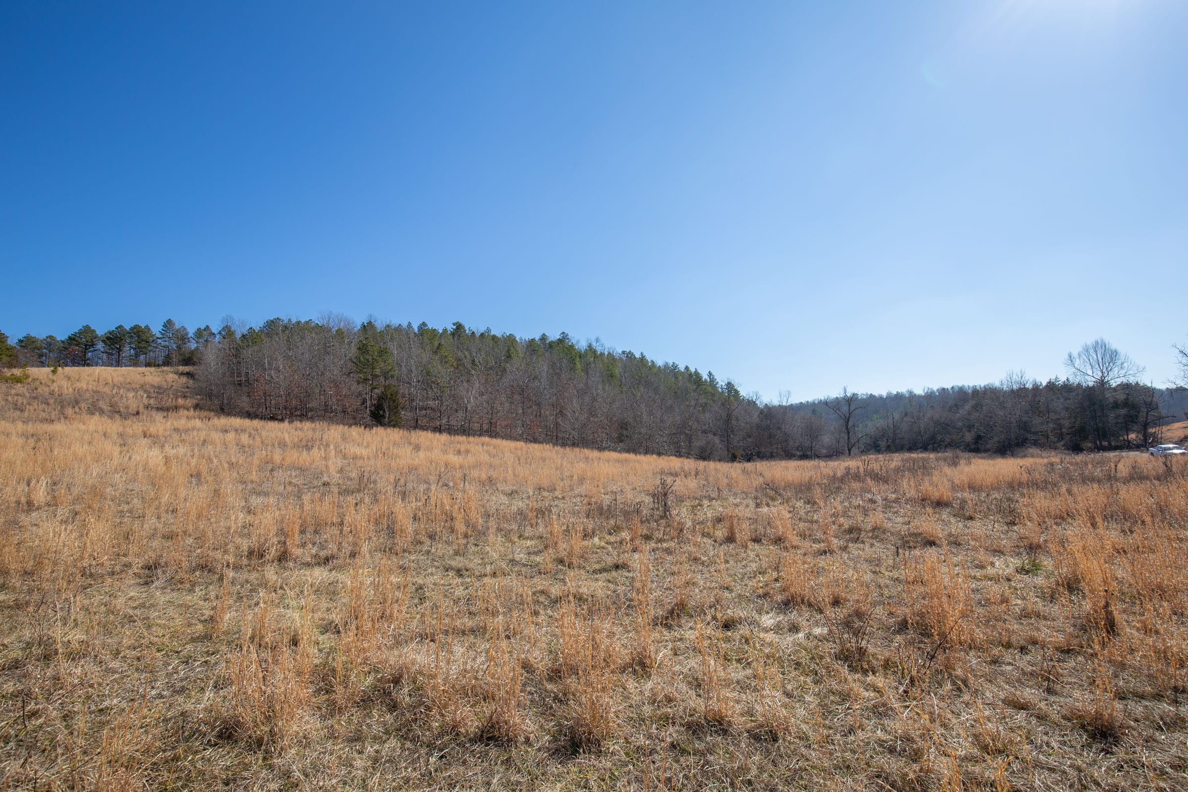 O’Connor Crossing Tract 16 photo 4