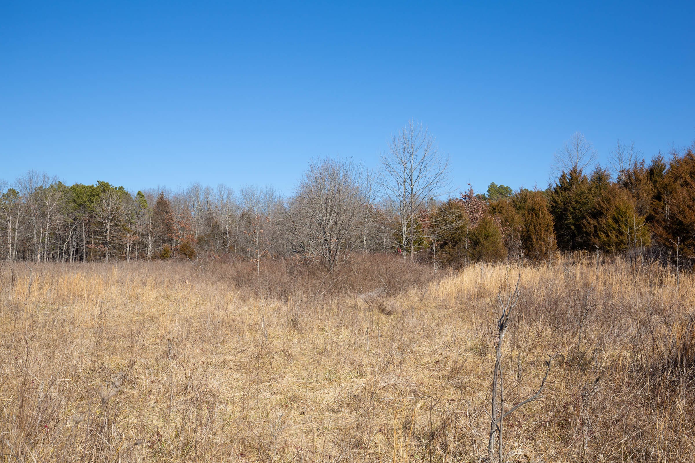 O’Connor Crossing Tract 16 photo 5