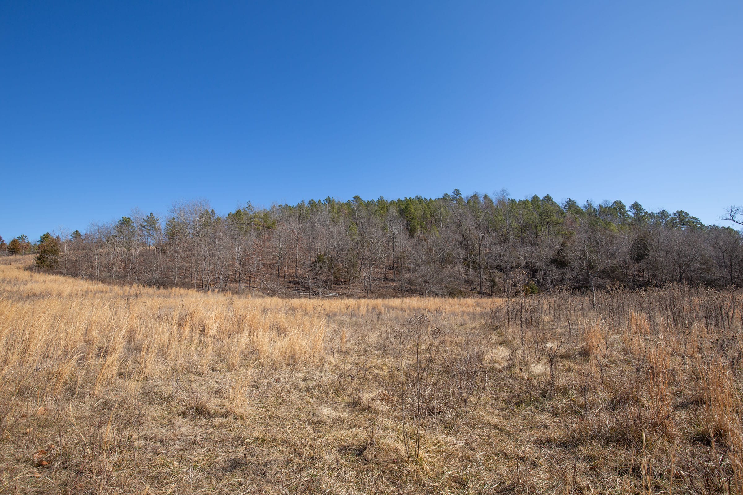 O’Connor Crossing Tract 16 photo 9