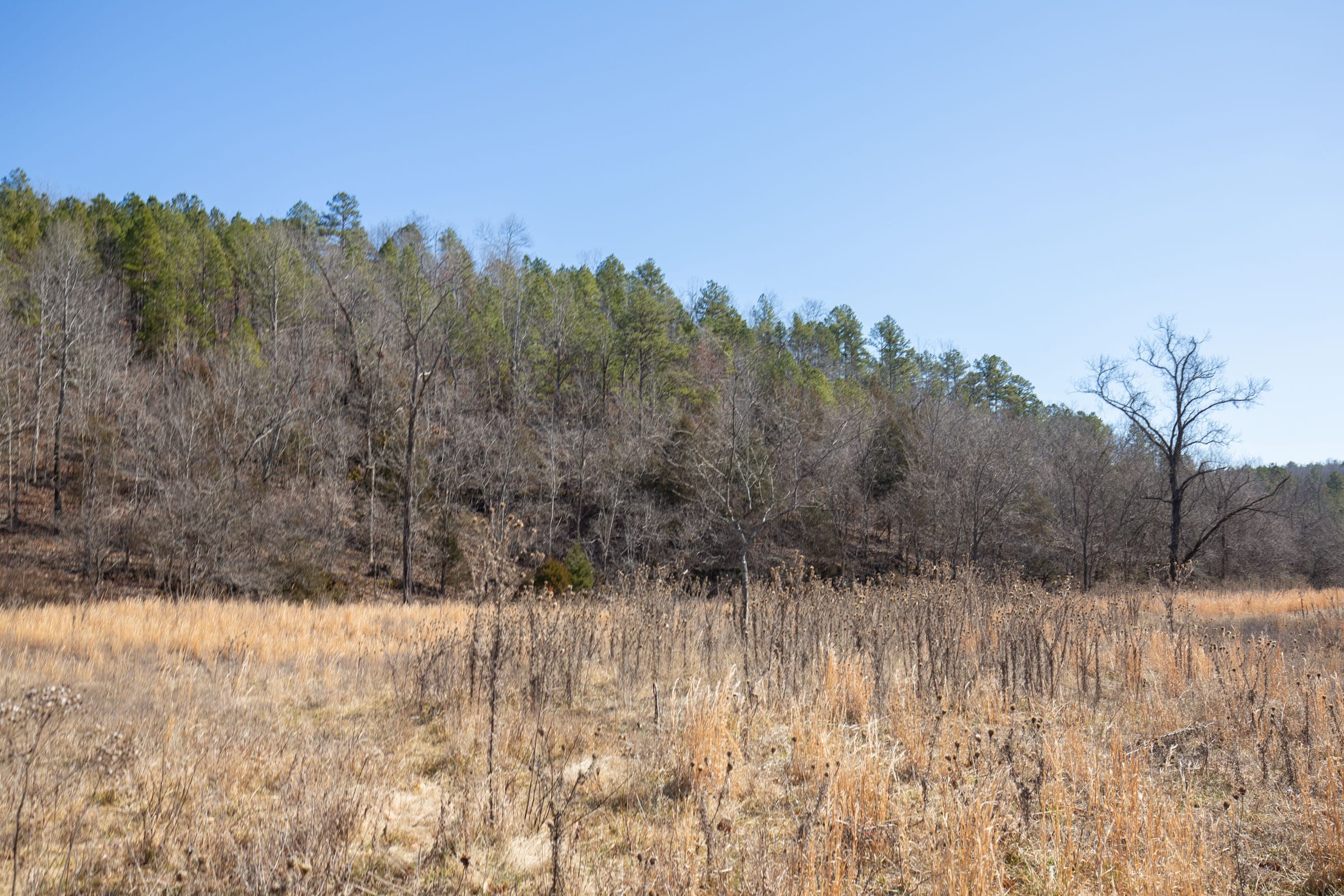 O’Connor Crossing Tract 16 photo 10