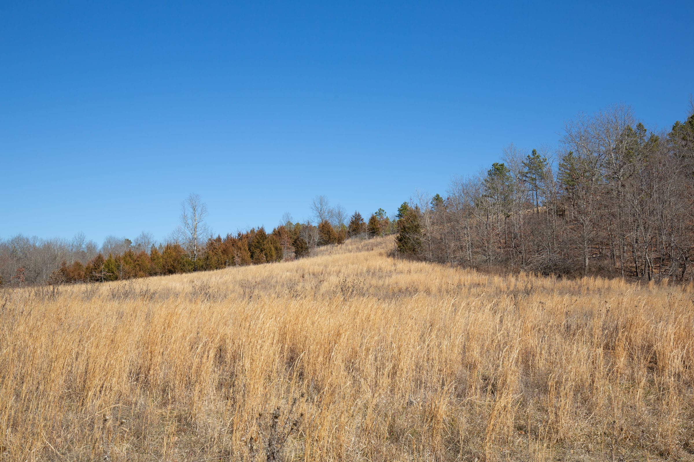 O’Connor Crossing Tract 16 photo 11