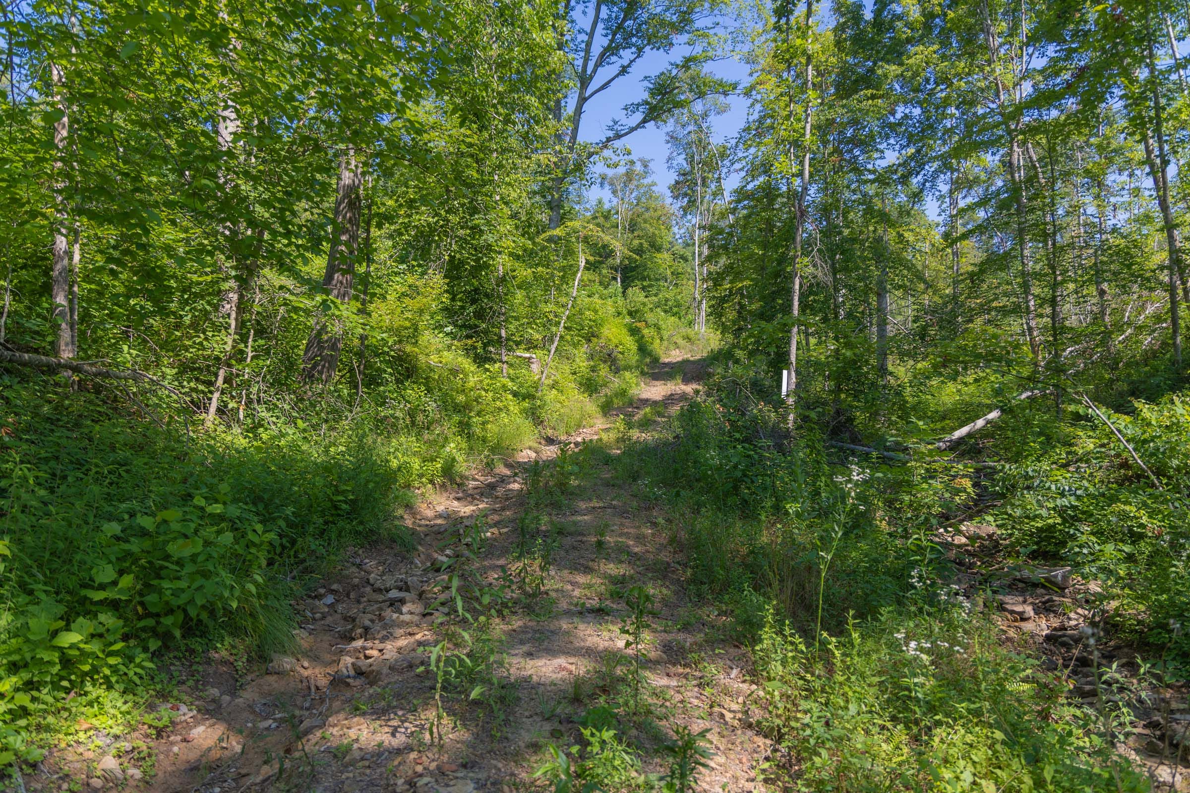 Creek Hollow Phase II Tract 70 photo 8