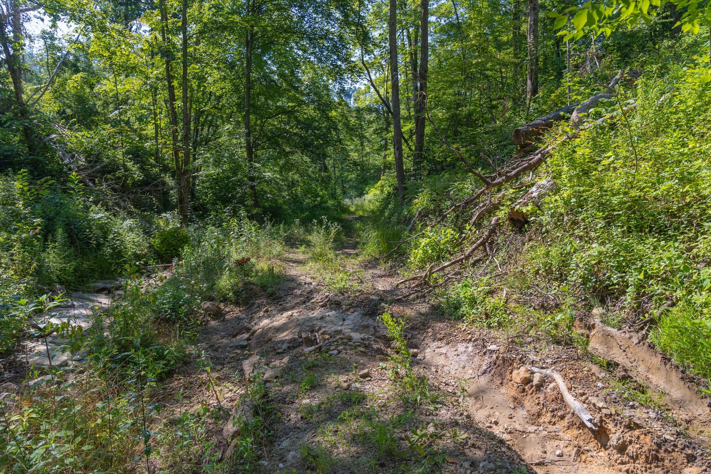 Creek Hollow Phase II Tract 70 photo 7
