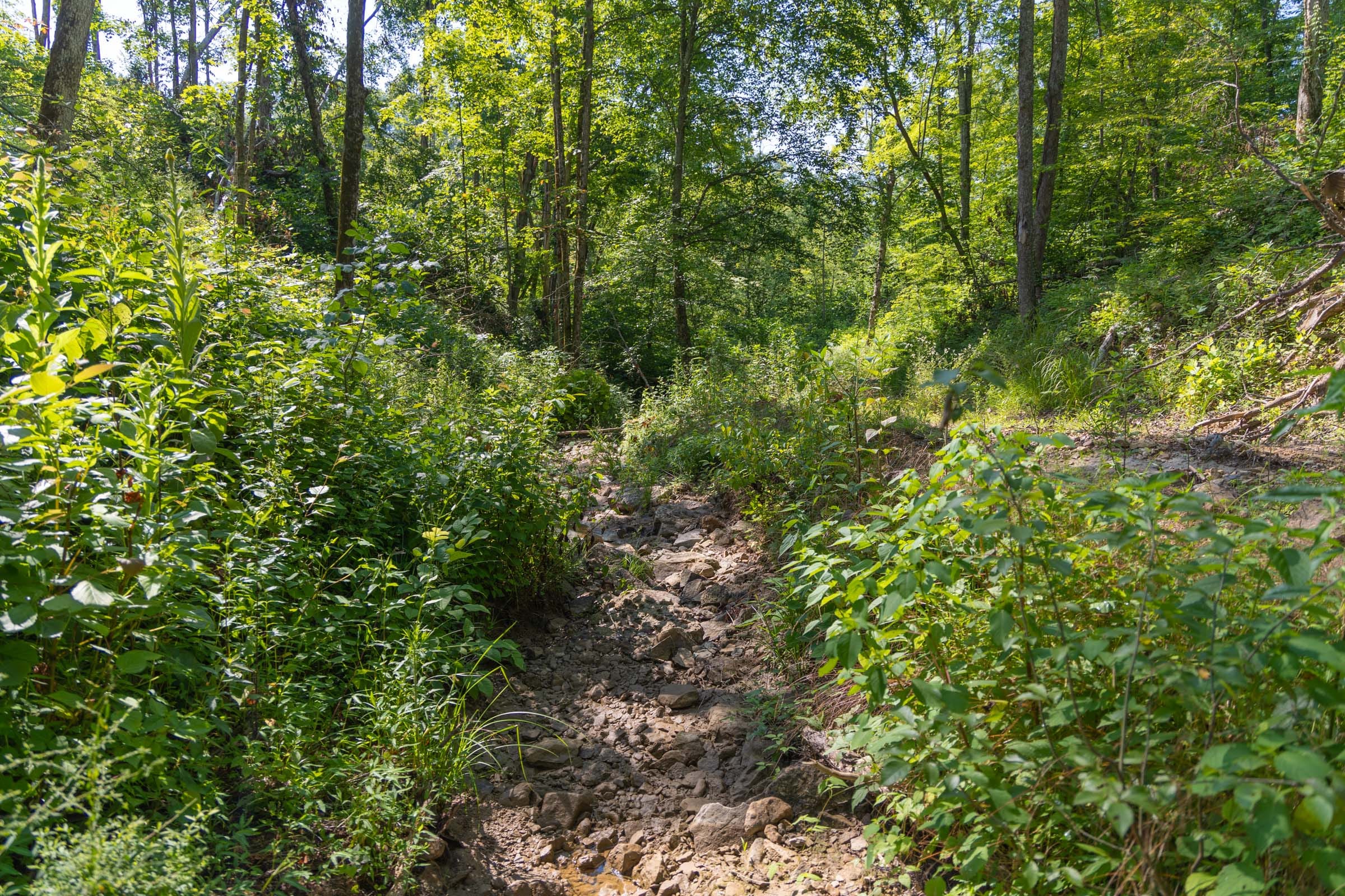 Creek Hollow Phase II Tract 70 photo 1