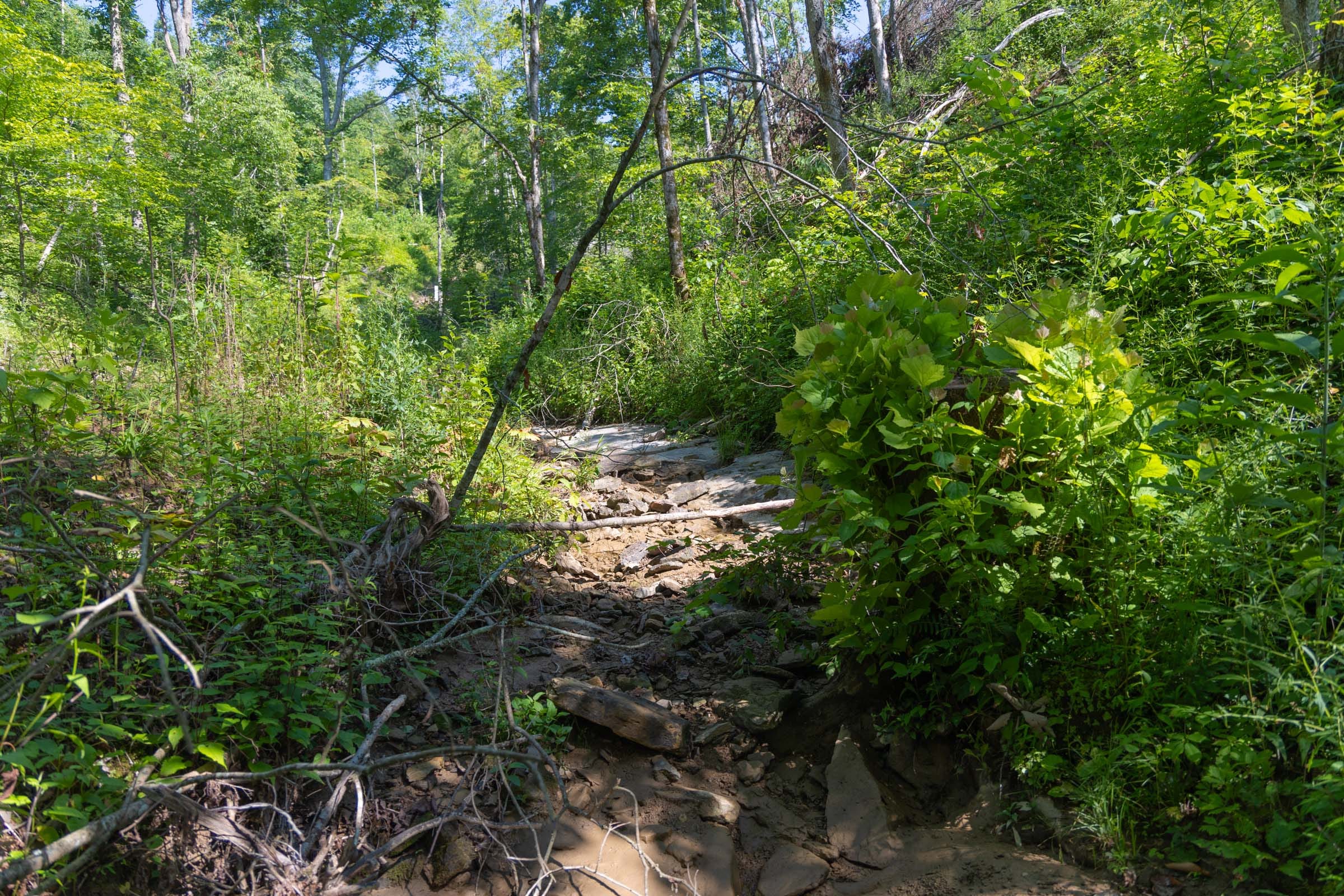 Creek Hollow Phase II Tract 70 photo 6
