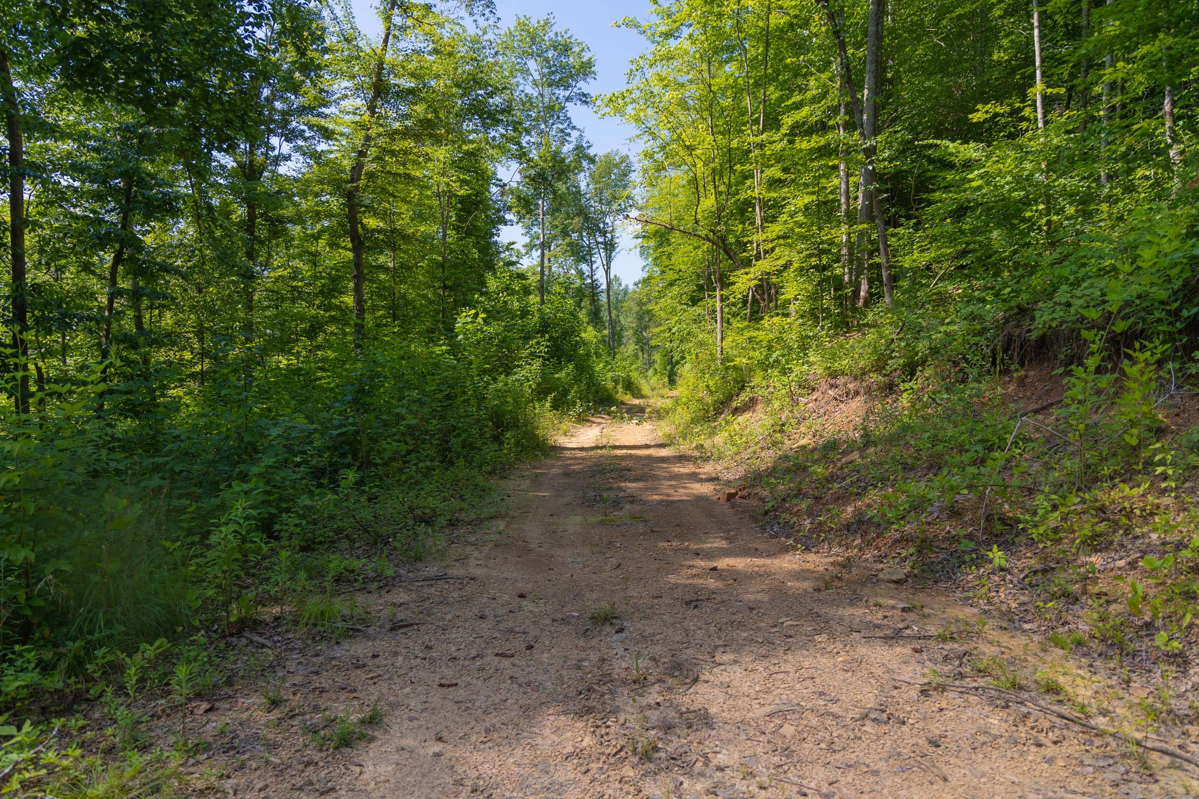 Creek Hollow Phase II Tract 70 photo 5