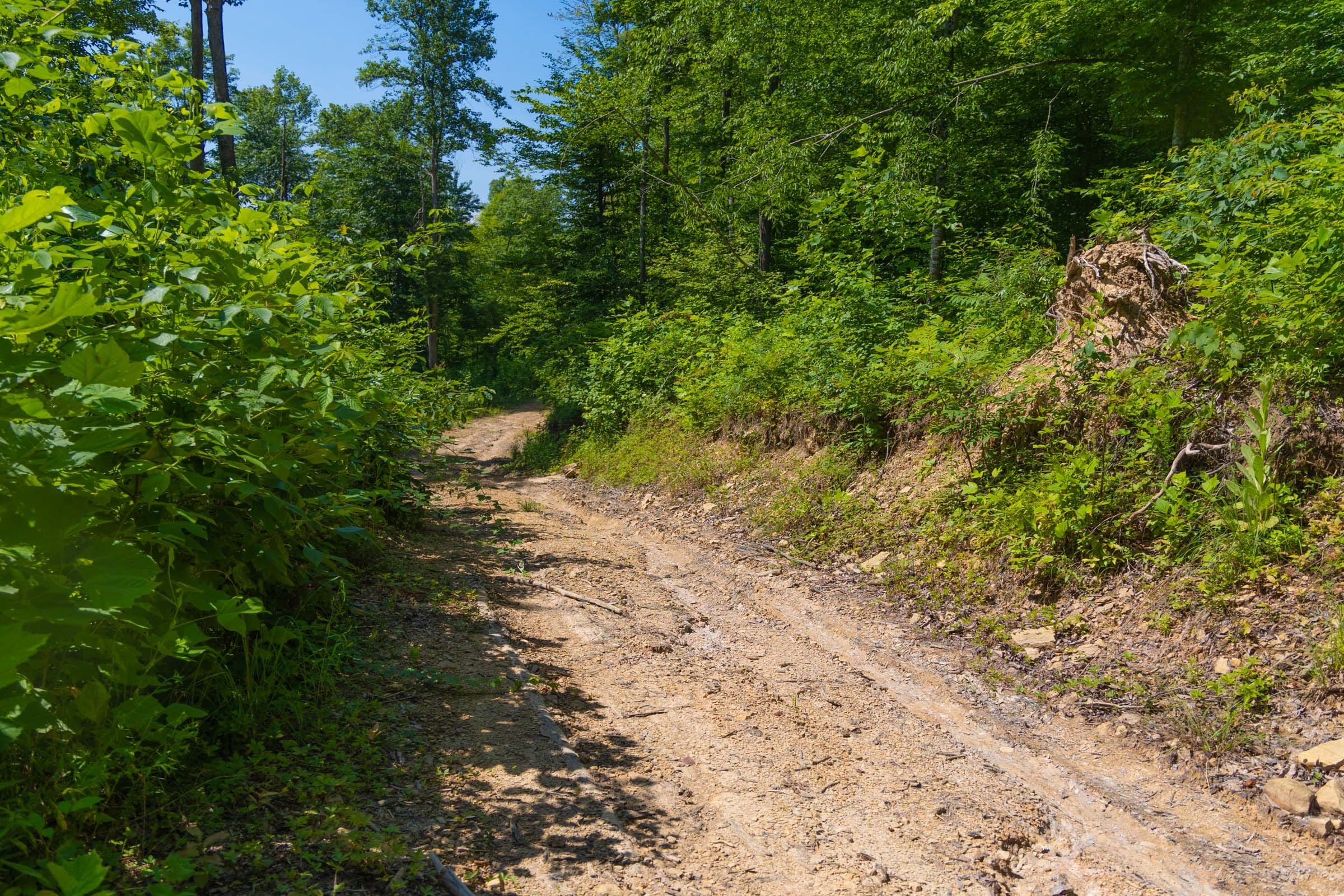 Creek Hollow Phase II Tract 70 photo 2