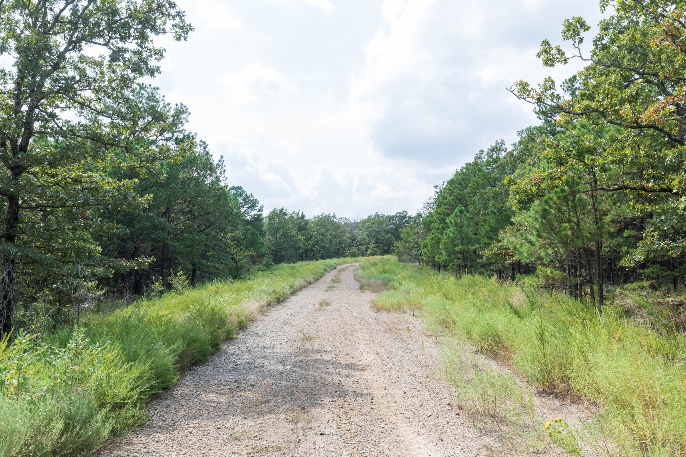 Stone Bridge Phase V Tract 338 photo 10