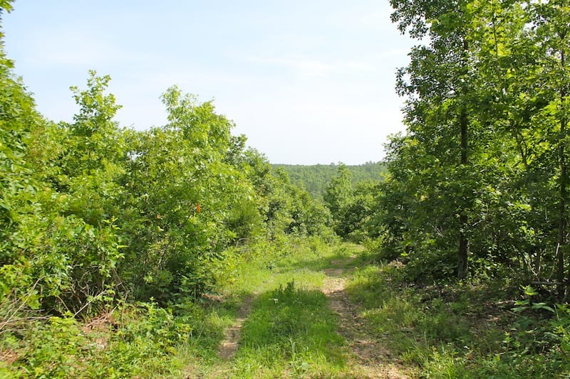 Green Mountain Ranch Tract 14 photo 2