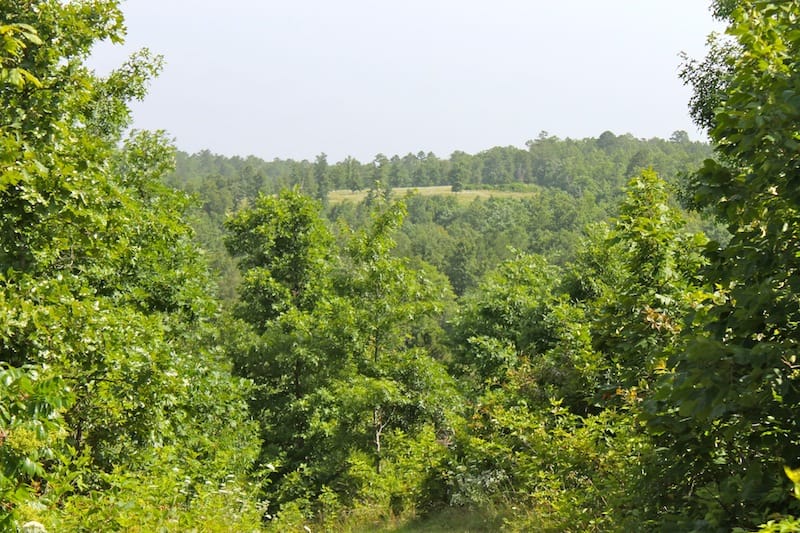 Green Mountain Ranch Tract 14 photo 3