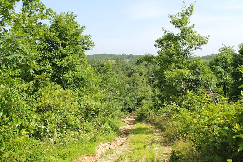 Green Mountain Ranch Tract 14 photo 5
