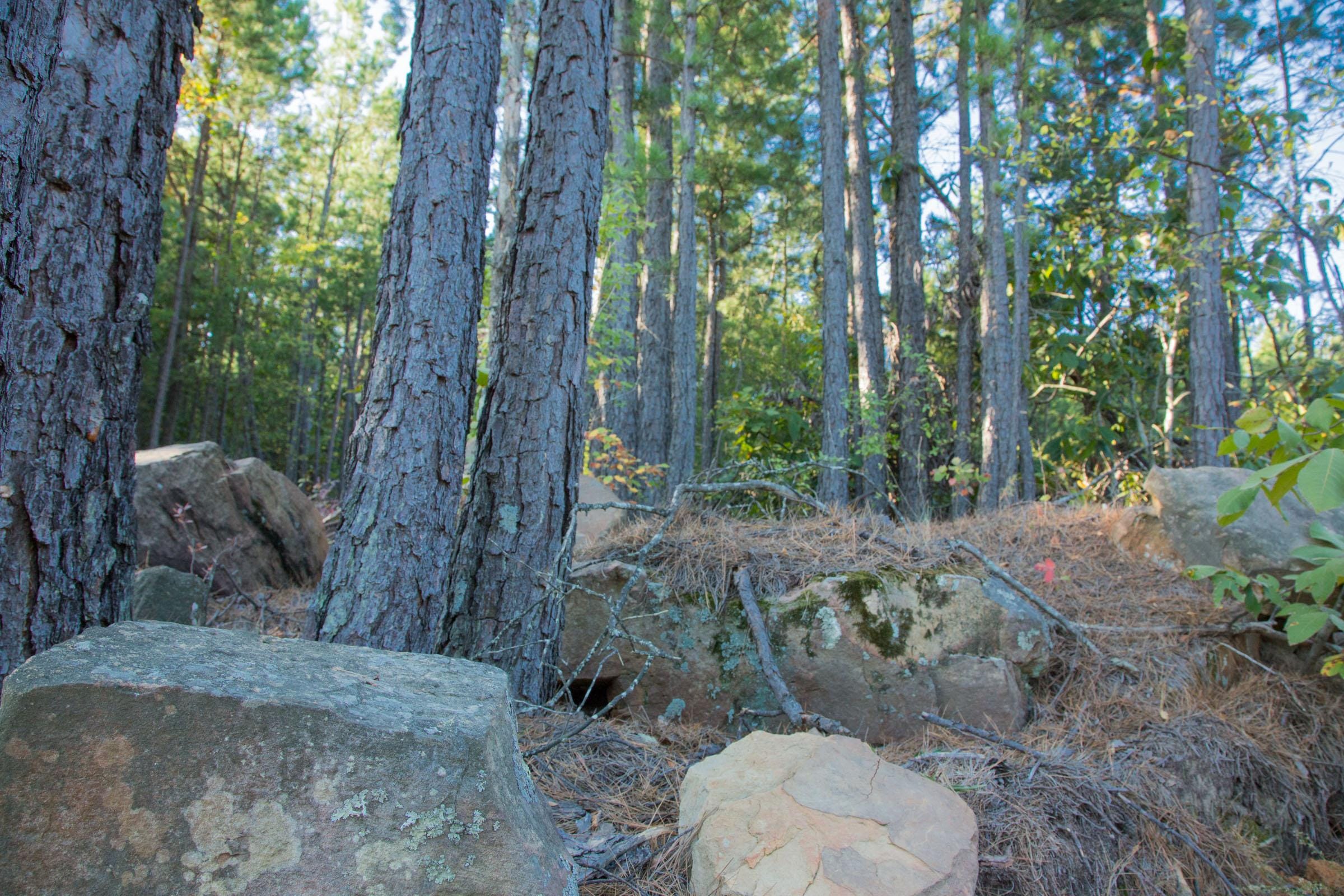 Stone Creek Phase II Tract 279 photo 2