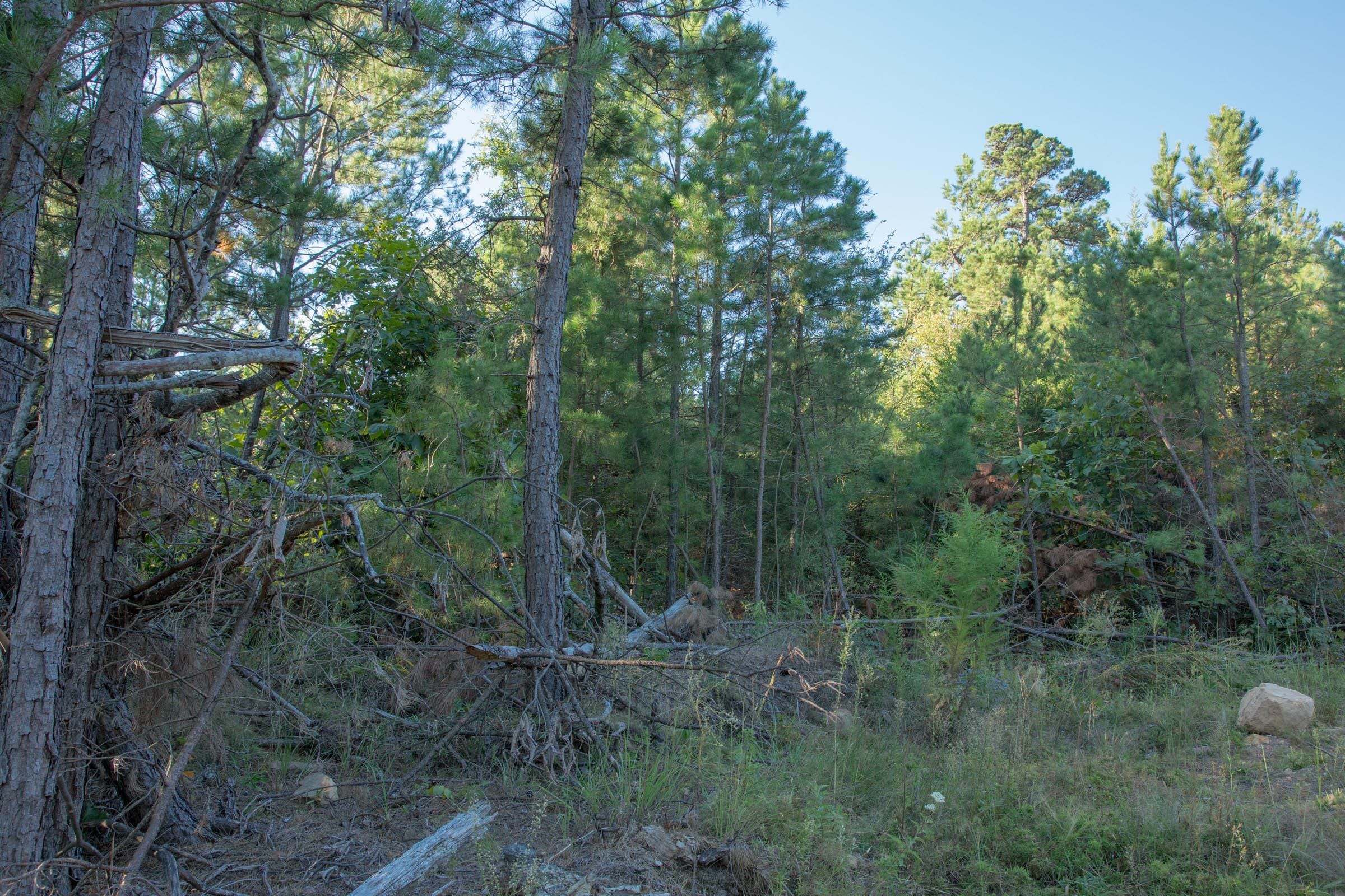 Stone Creek Phase II Tract 279 photo 4