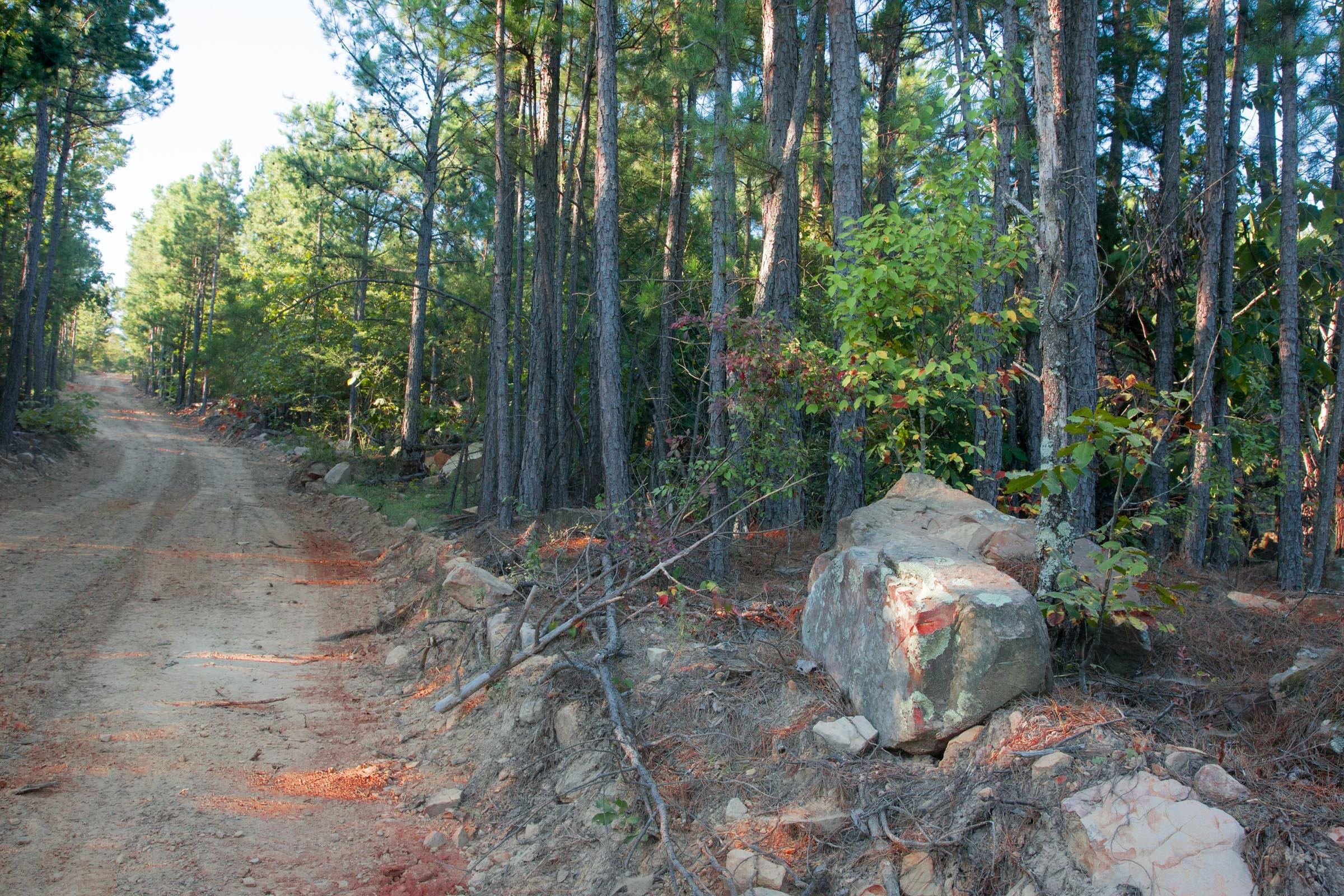 Stone Creek Phase II Tract 279 photo 6