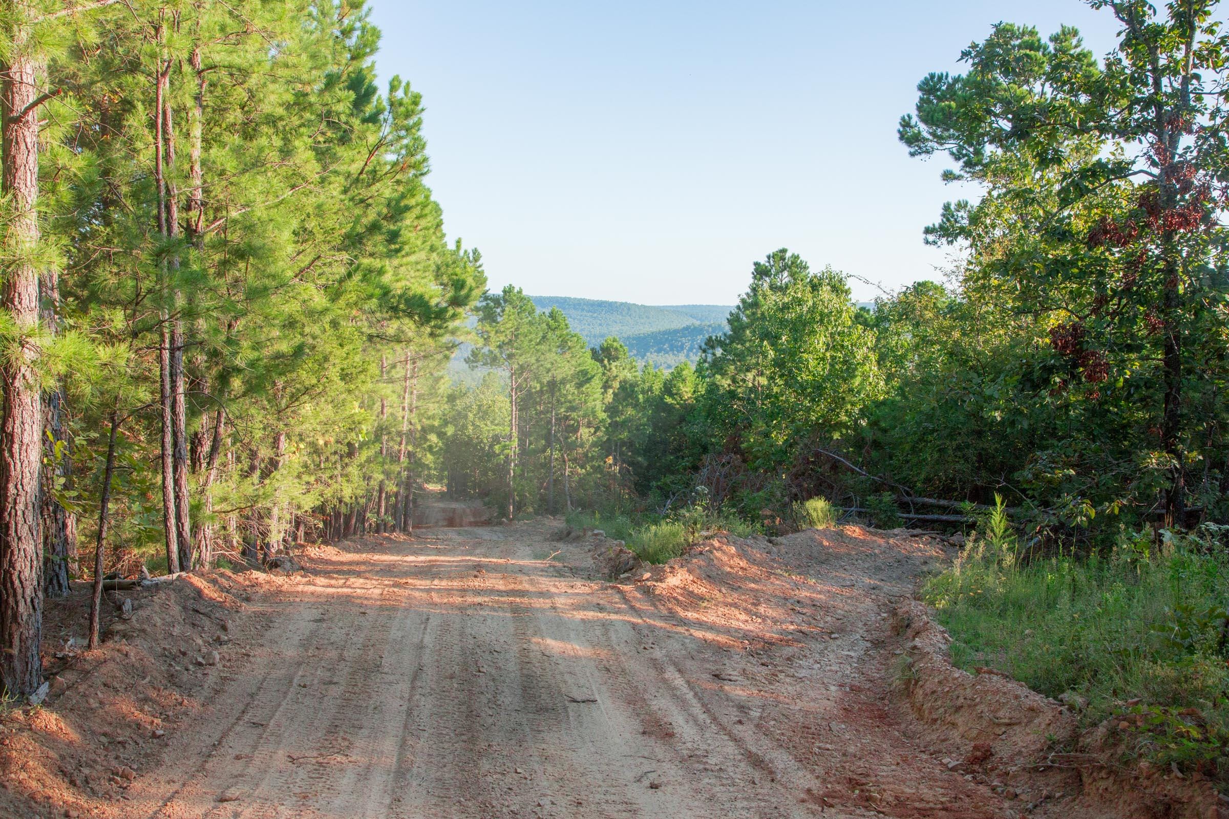 Stone Creek Phase II Tract 279 photo 5