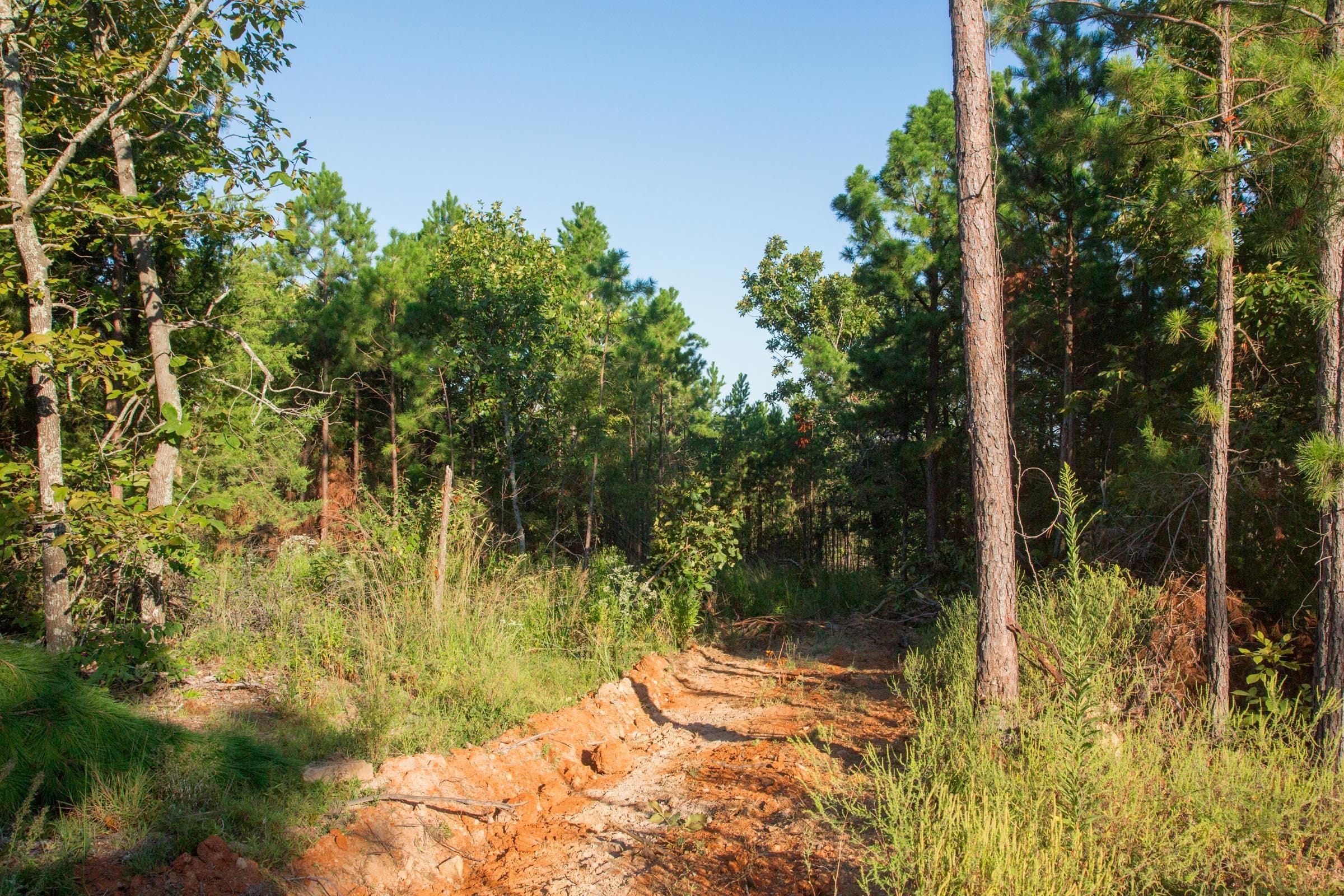 Stone Creek Phase II Tract 279 photo 7