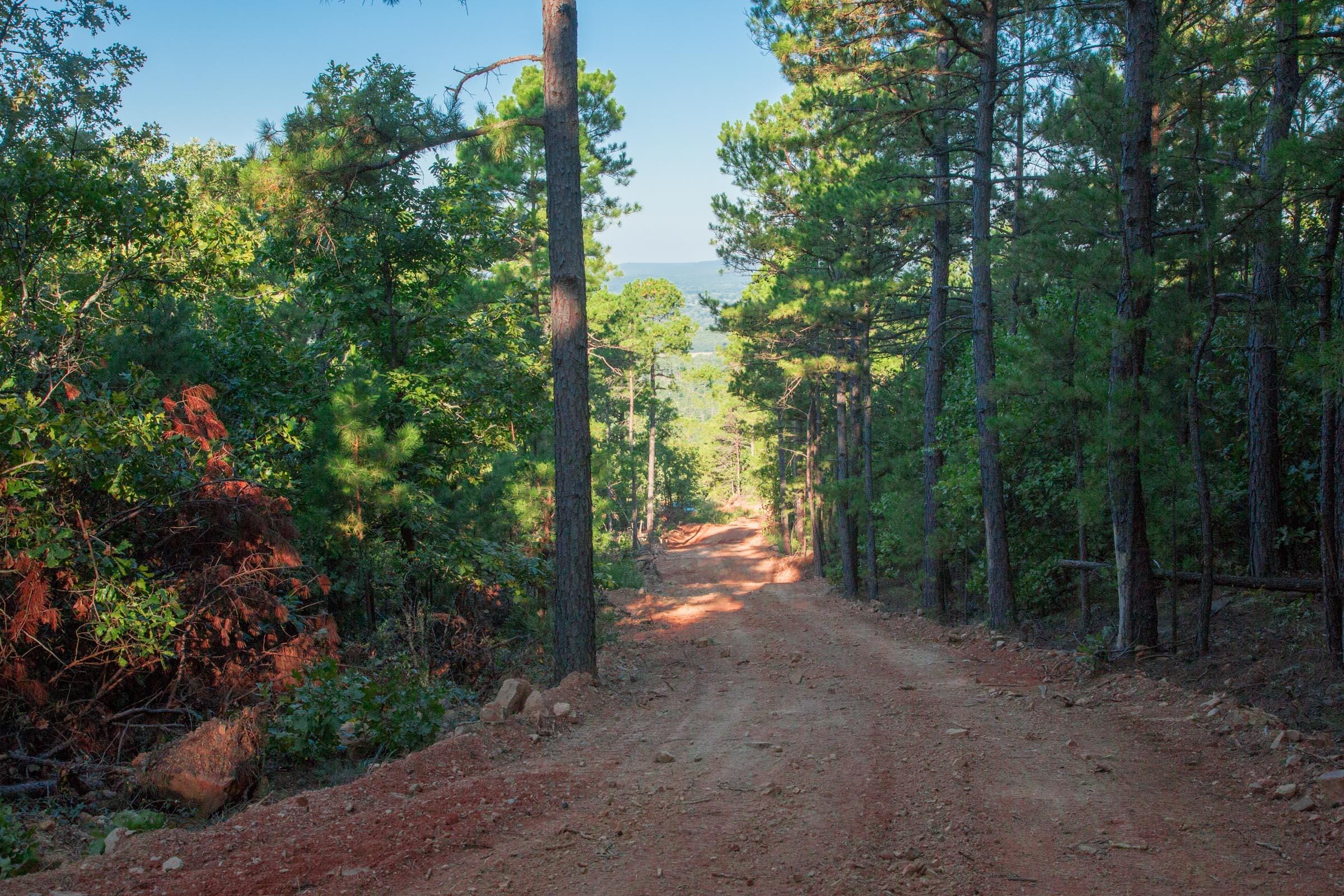 Stone Creek Phase II Tract 279 photo 12