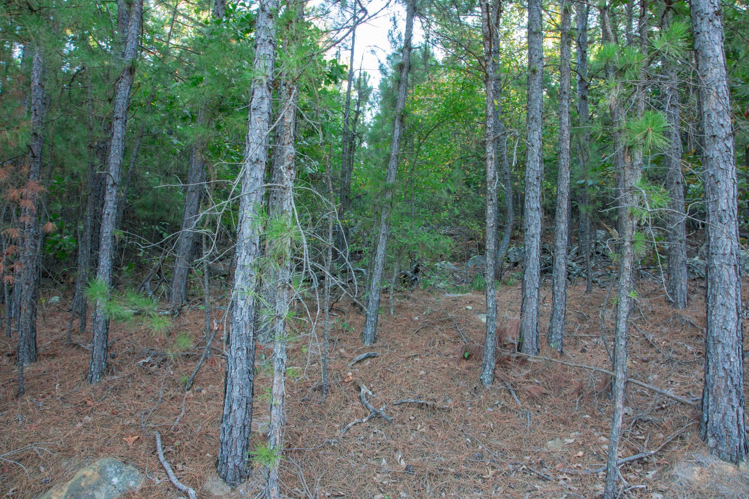 Stone Creek Phase II Tract 279 photo 8
