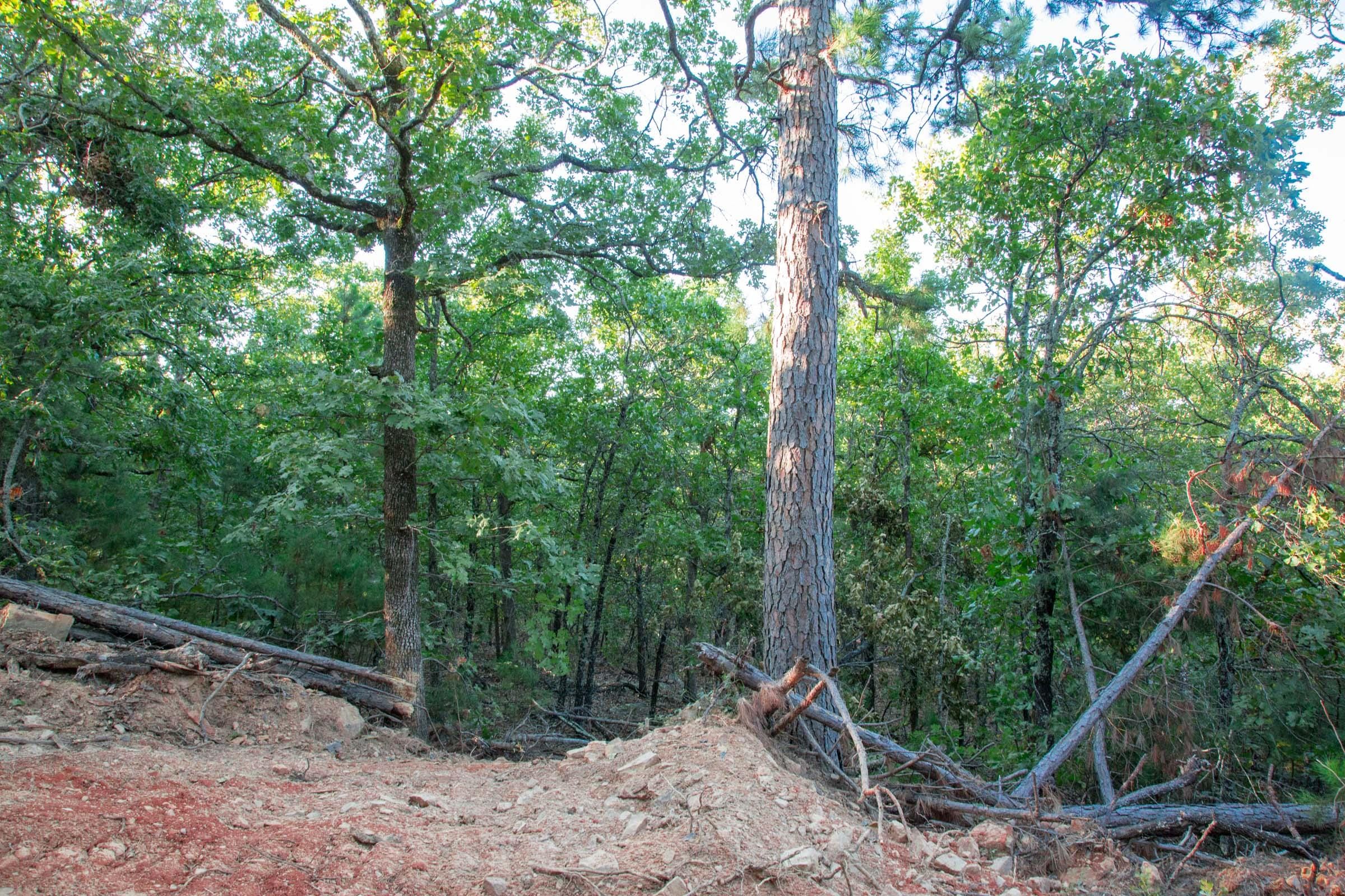 Stone Creek Phase II Tract 279 photo 9