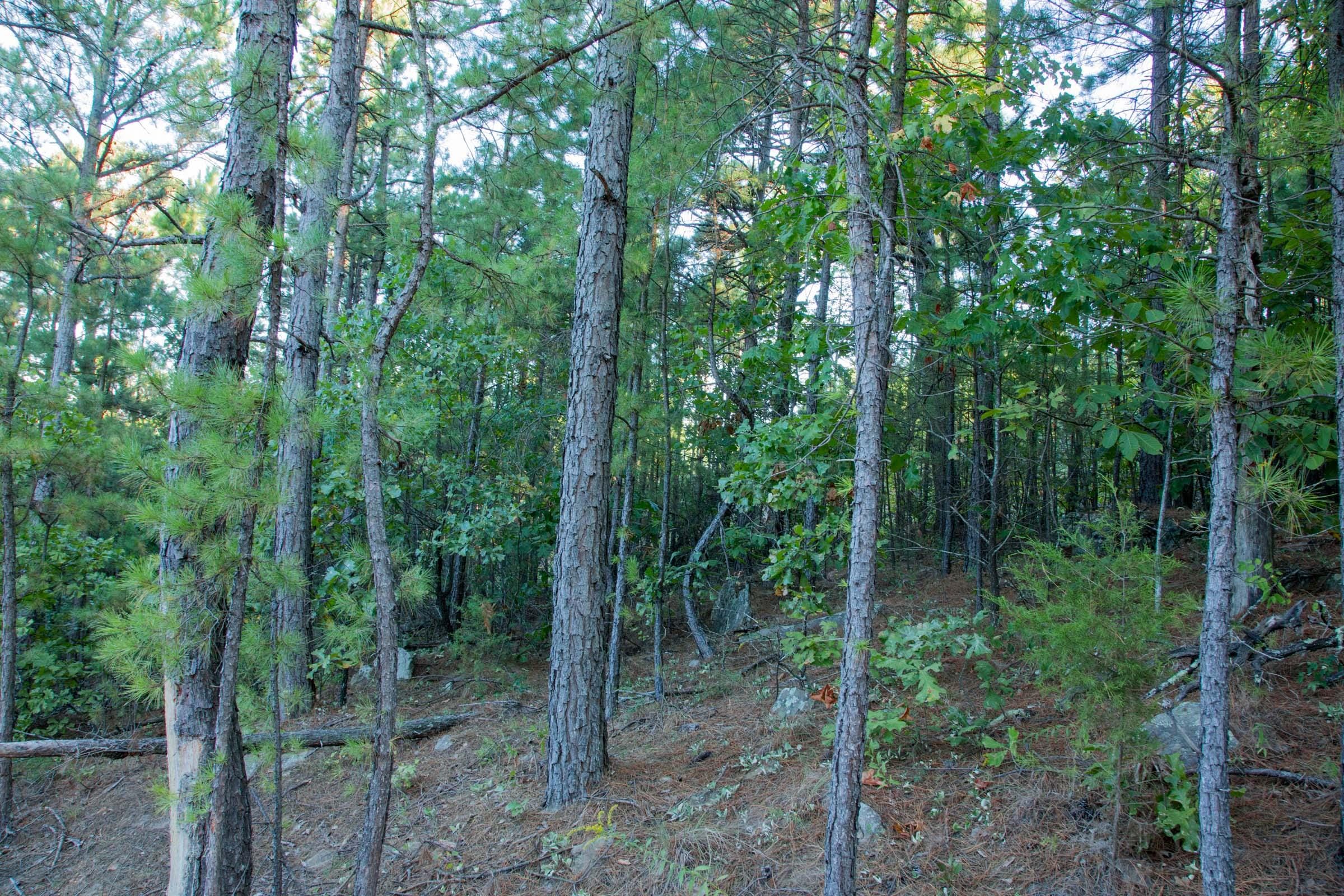 Stone Creek Phase II Tract 279 photo 11