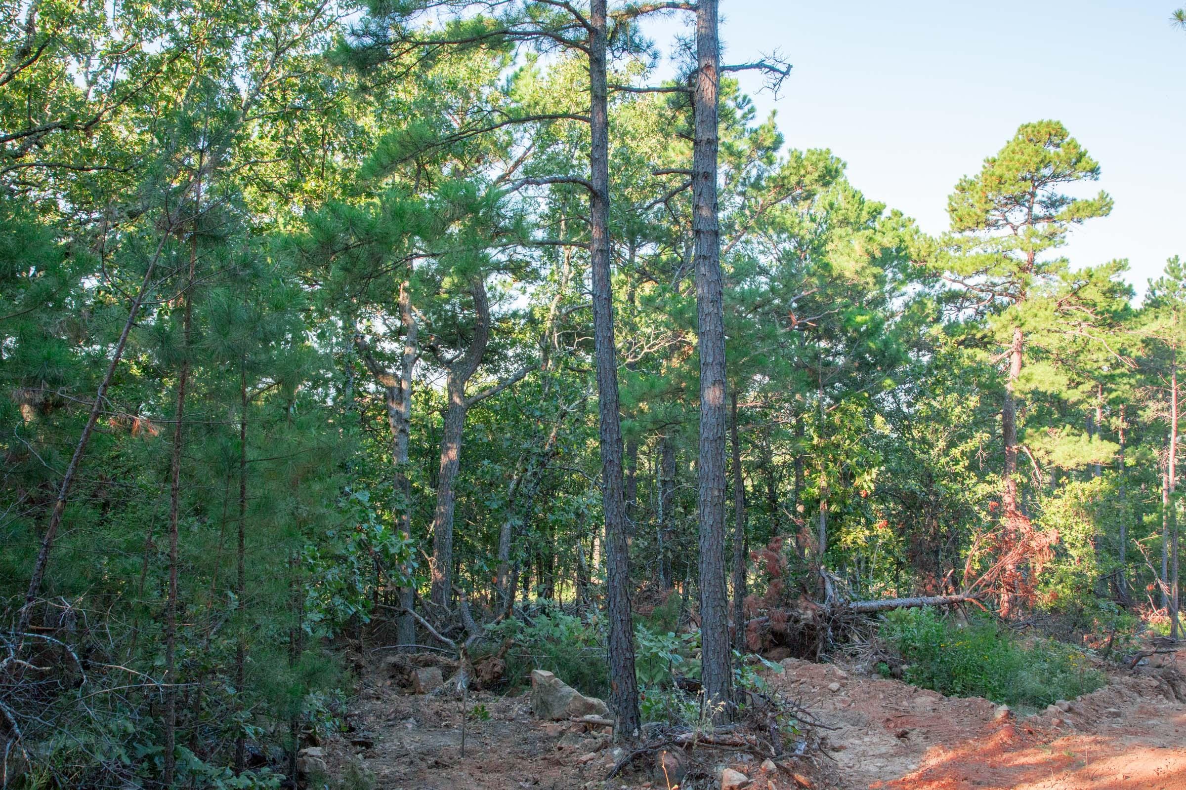 Stone Creek Phase II Tract 279 photo 13