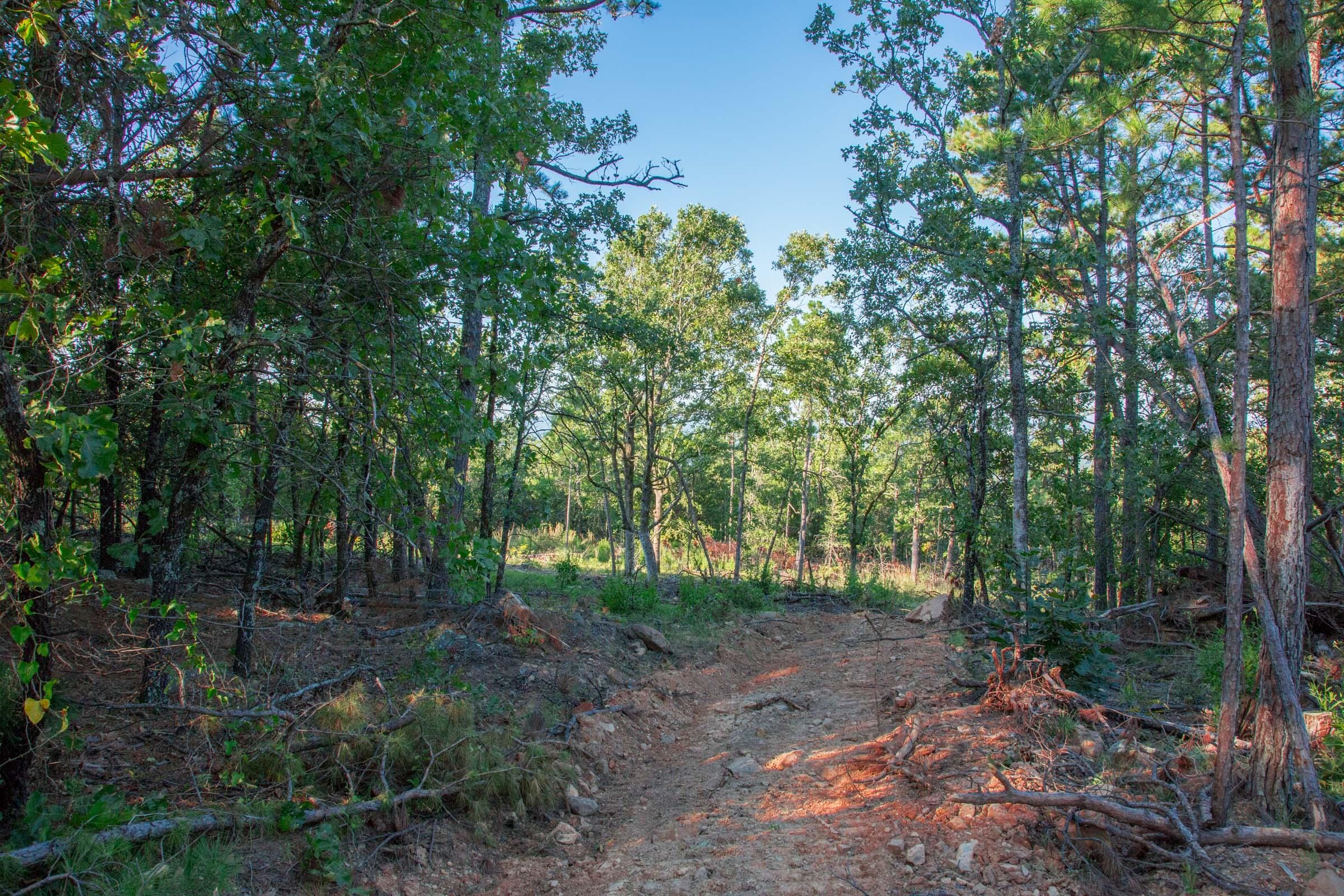 Stone Creek Phase II Tract 279 photo 16