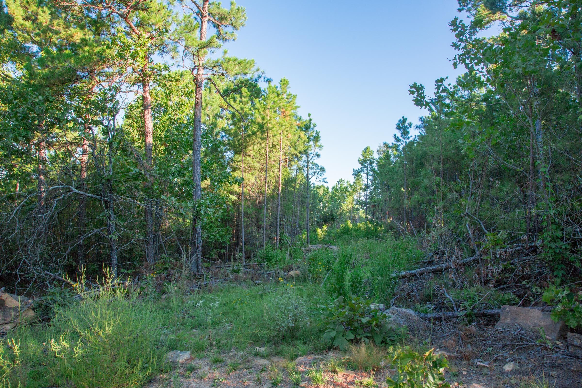 Stone Creek Phase II Tract 279 photo 17