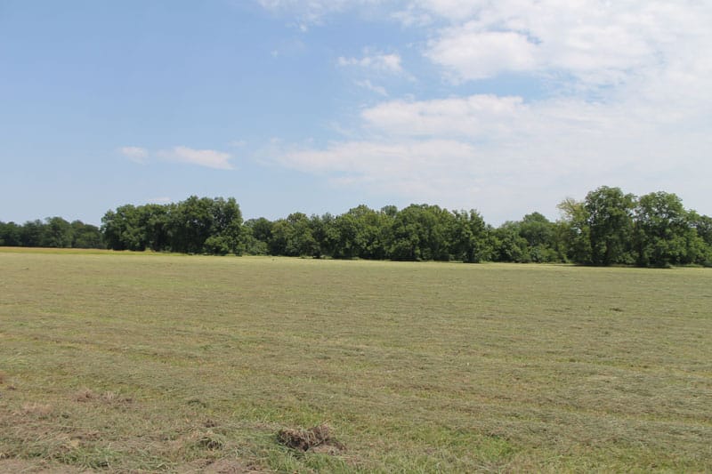 McCoy Creek Ranch Tract 8 photo 2