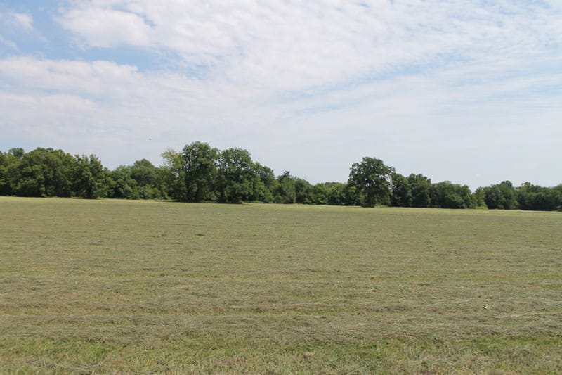 McCoy Creek Ranch Tract 8 photo 3