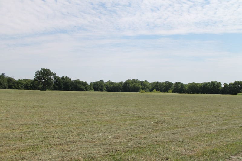 McCoy Creek Ranch Tract 8 photo 4
