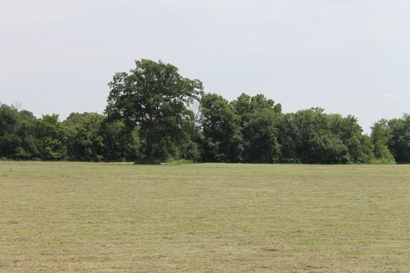 McCoy Creek Ranch Tract 8 photo 5