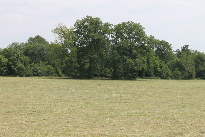 McCoy Creek Ranch Tract 8 photo 6