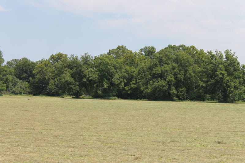 McCoy Creek Ranch Tract 8 photo 7